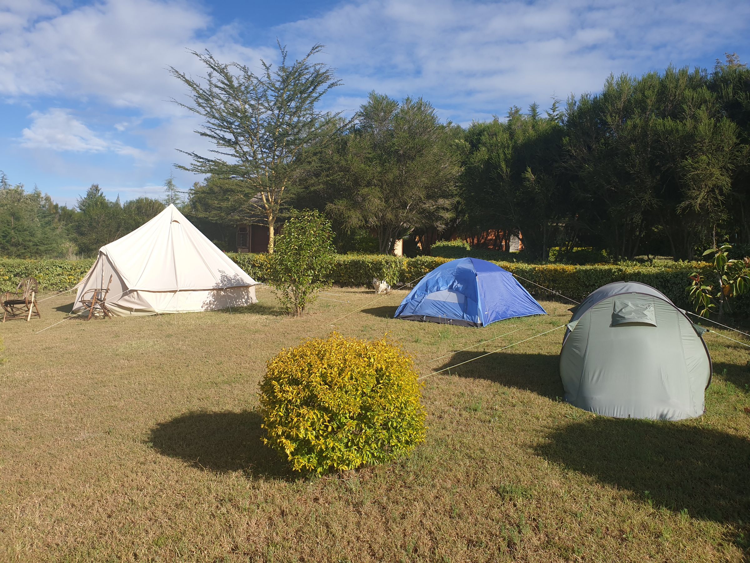 BlueZoneKenya Health Wellness Recovery Mount Kenya's image