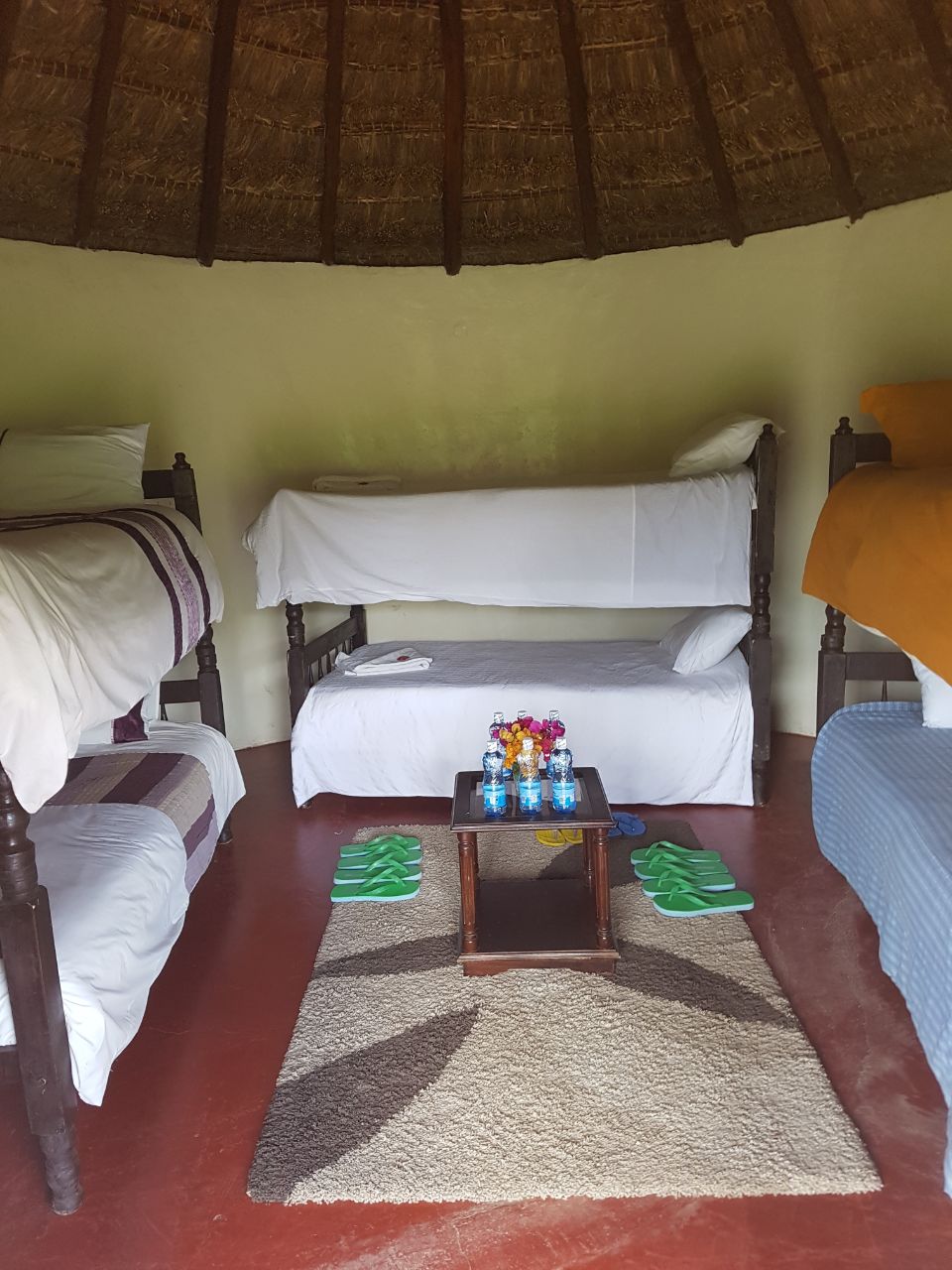 BlueZoneKenya Health Wellness Recovery Mount Kenya's image