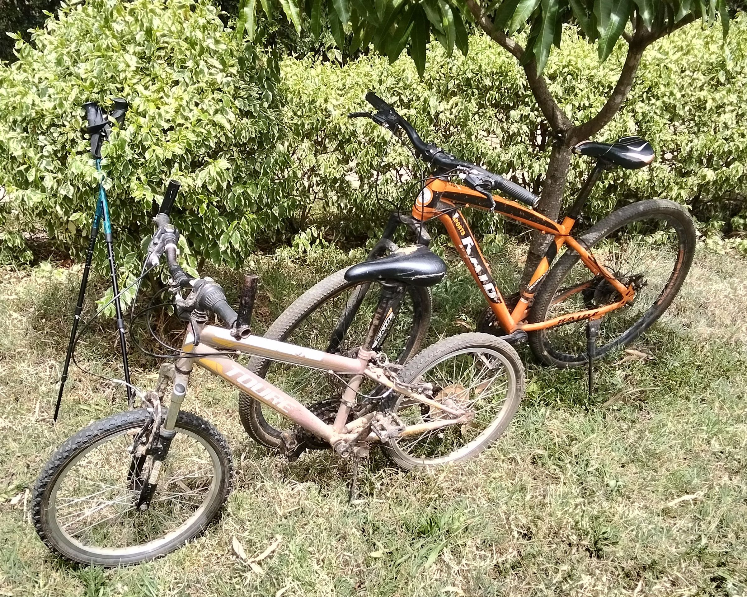 BlueZoneKenya Health Wellness Recovery Mount Kenya's image