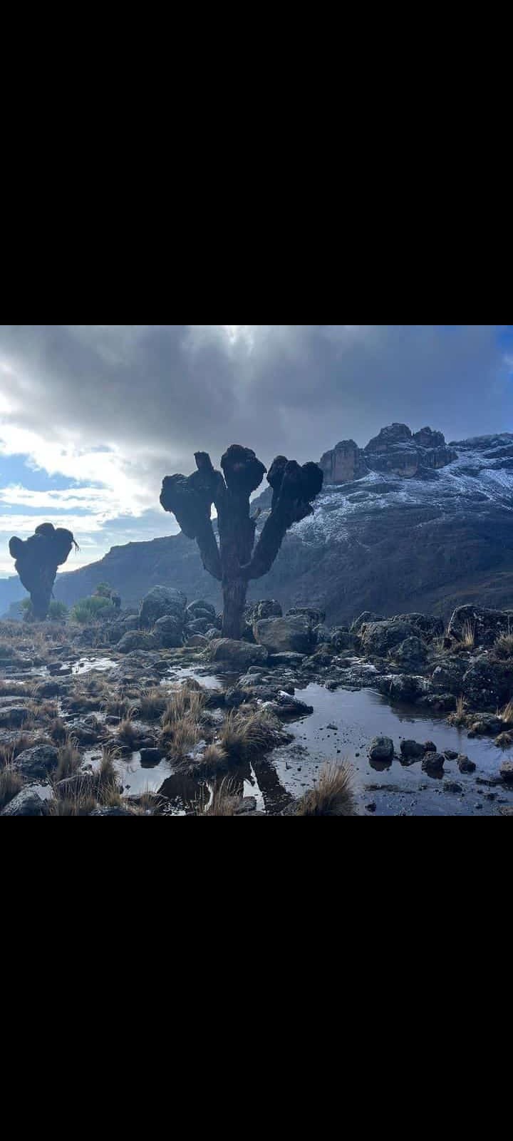 BlueZoneKenya Health Wellness Recovery Mount Kenya's image