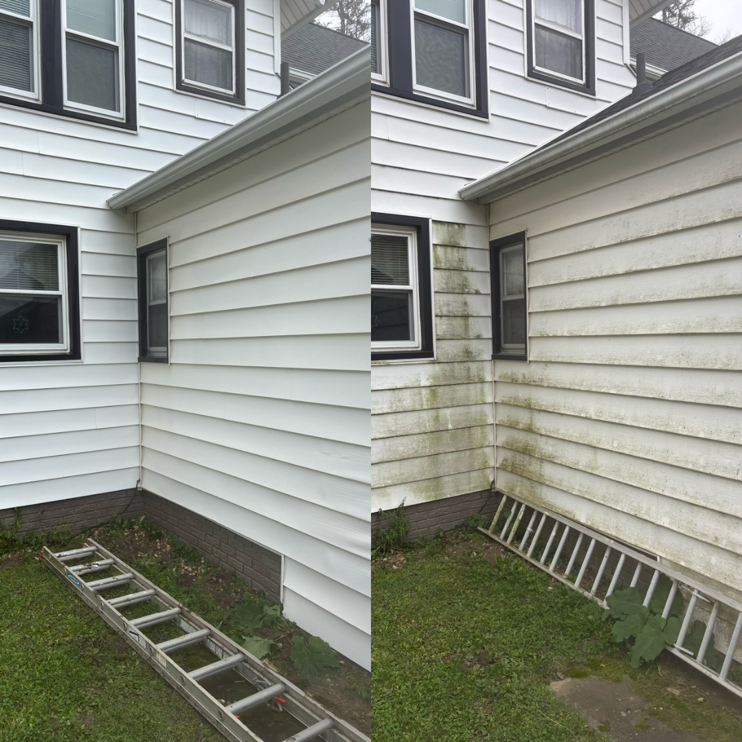 Schmitt To Shine - Exterior Cleaning in Northeast Iowa's image