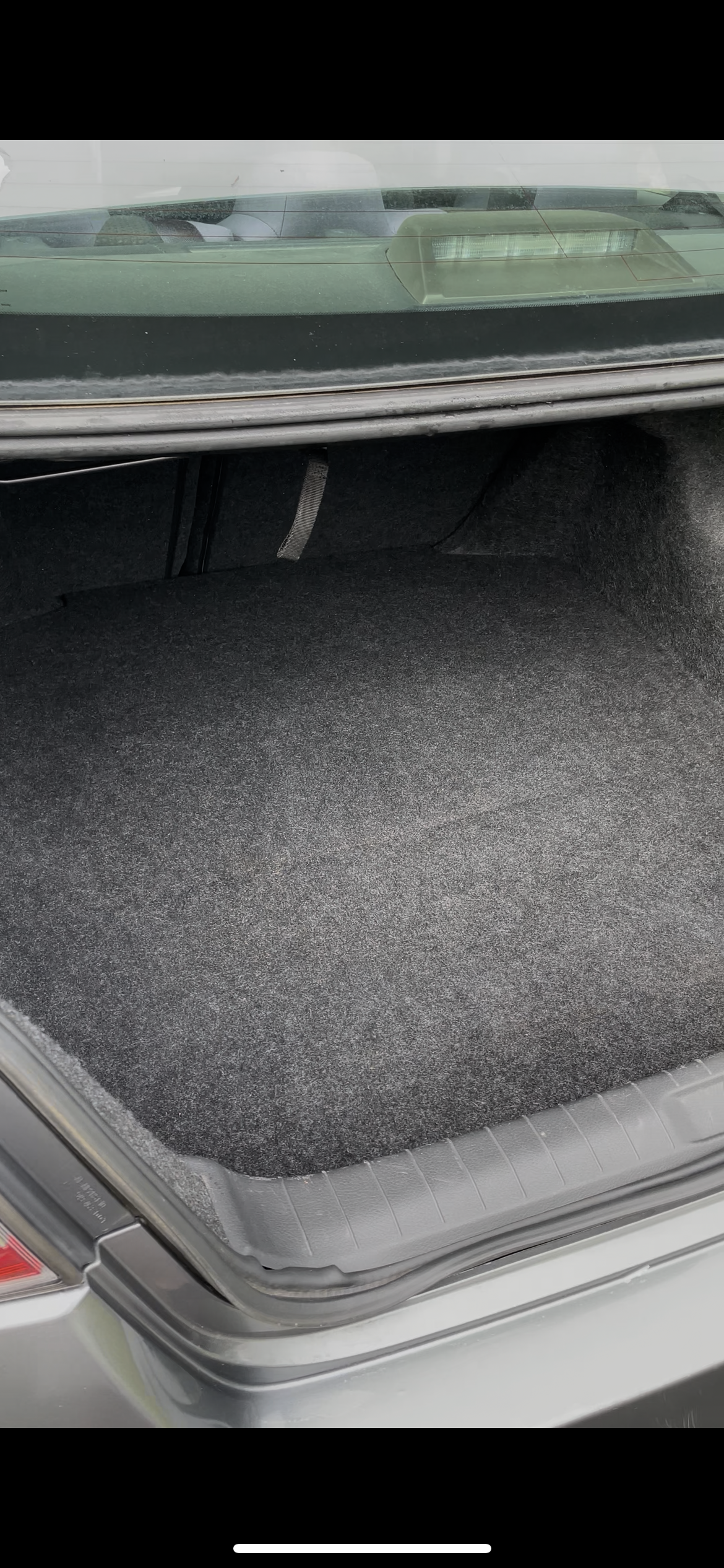 Trunk (After)