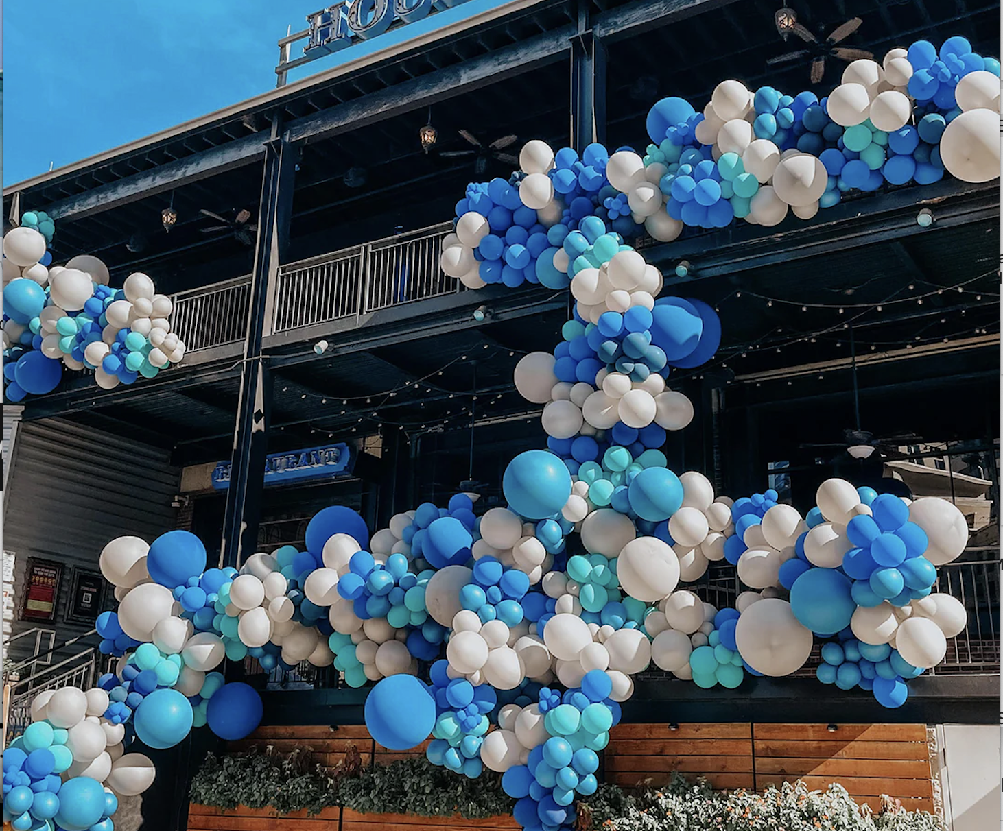 l'anima della festa's image