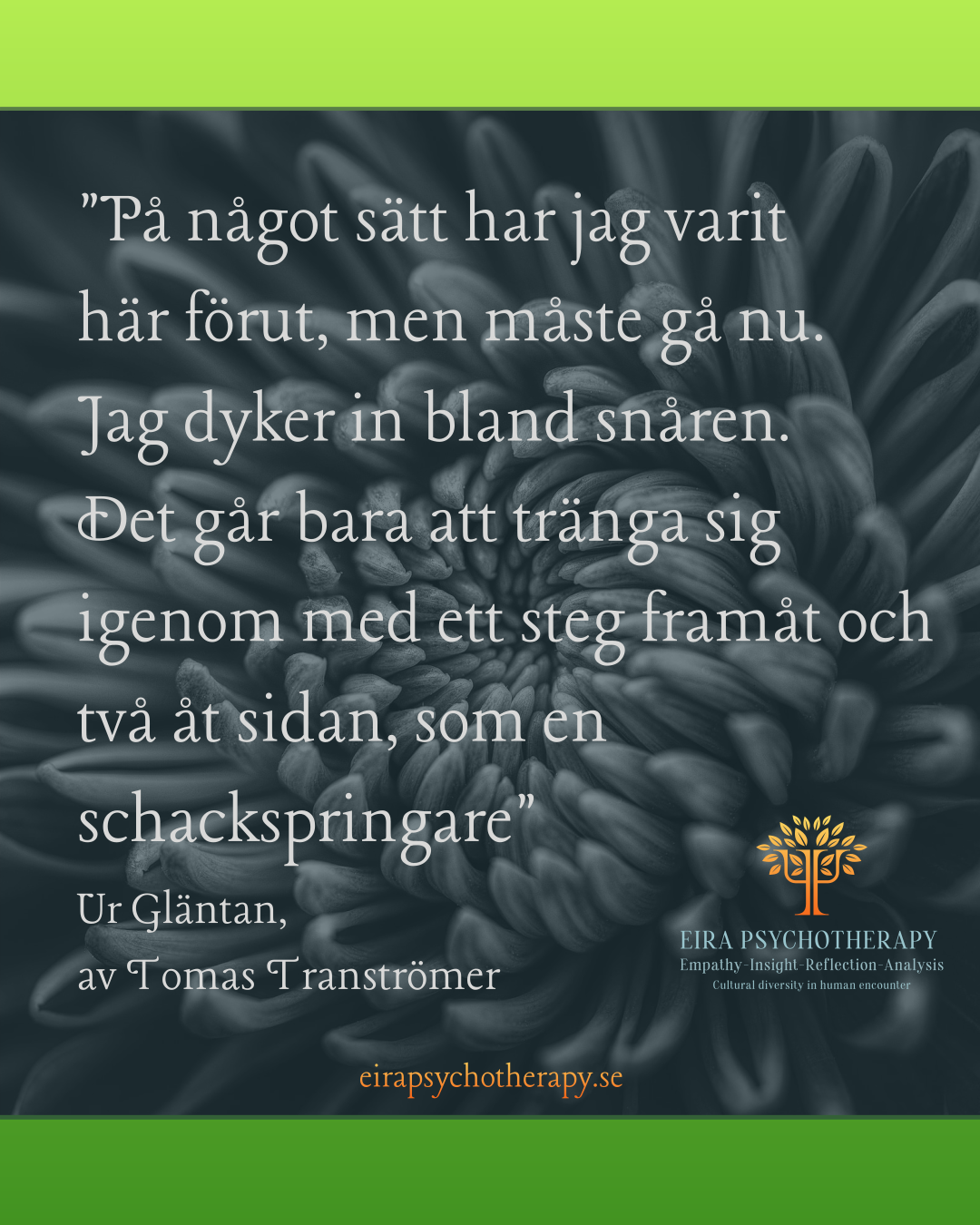EIRA Psykoterapi Psykodynamisk terapi i Uppsala & Stockholm's image
