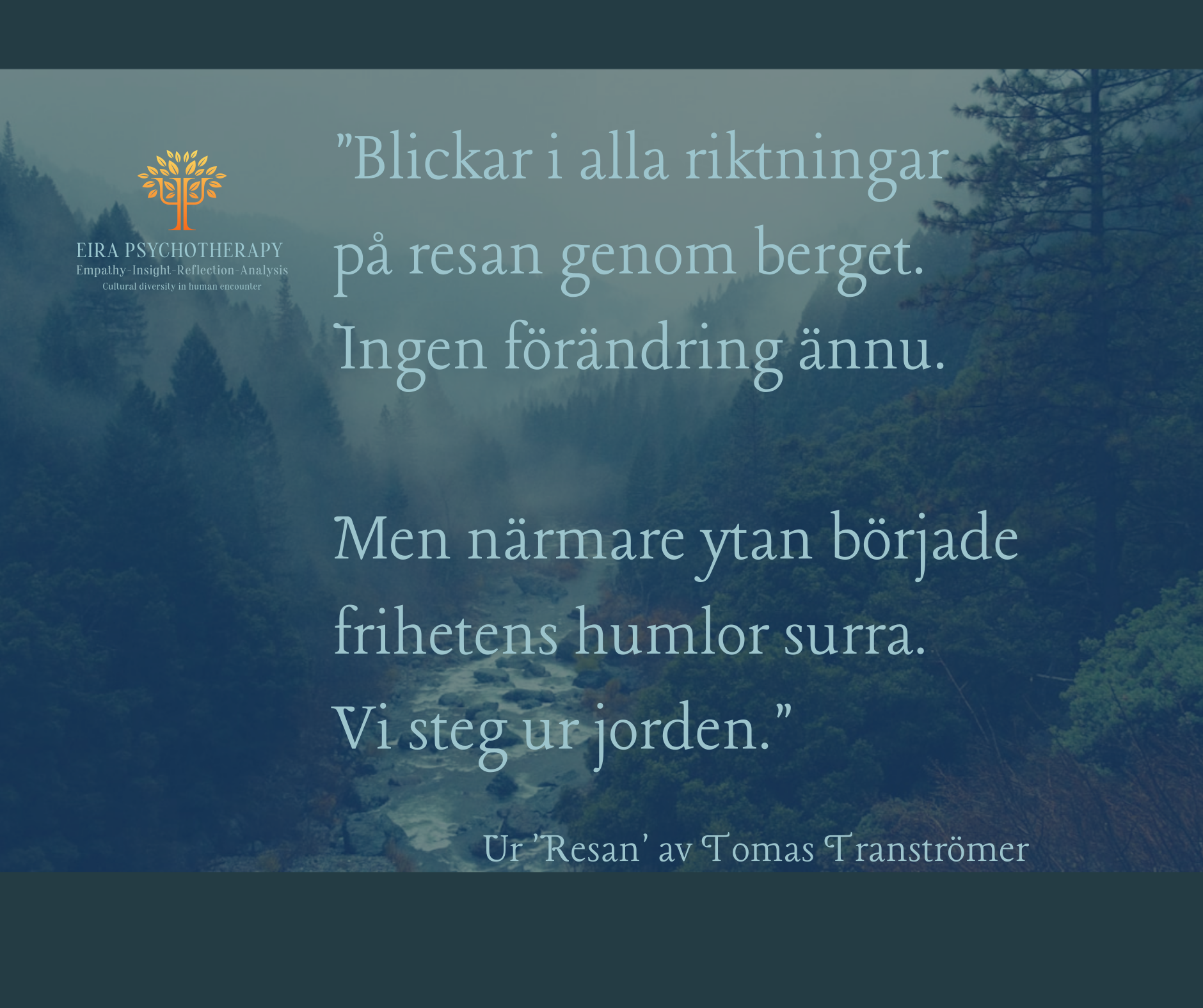EIRA Psykoterapi Psykodynamisk terapi i Uppsala & Stockholm's image