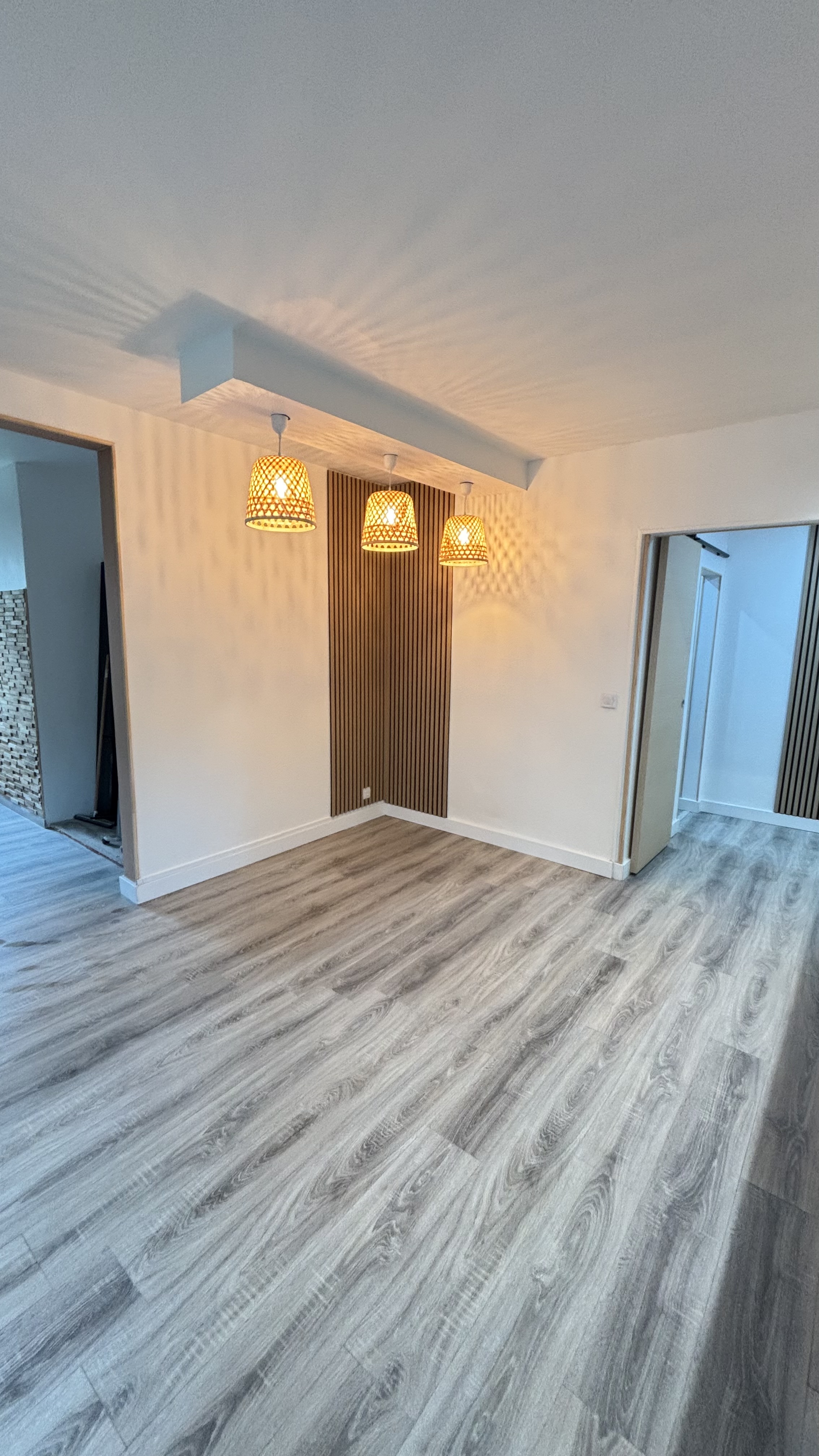 Rénovation appartement 60 m2