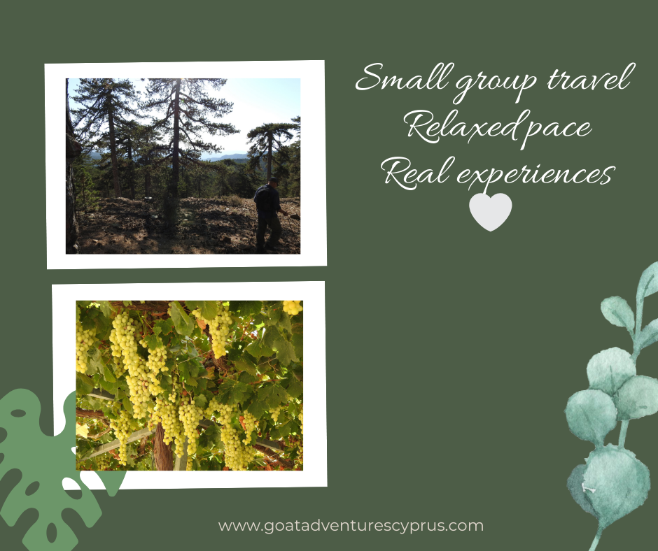 GOAT Adventures Cyprus Small Group Adventure & Walking tours's image