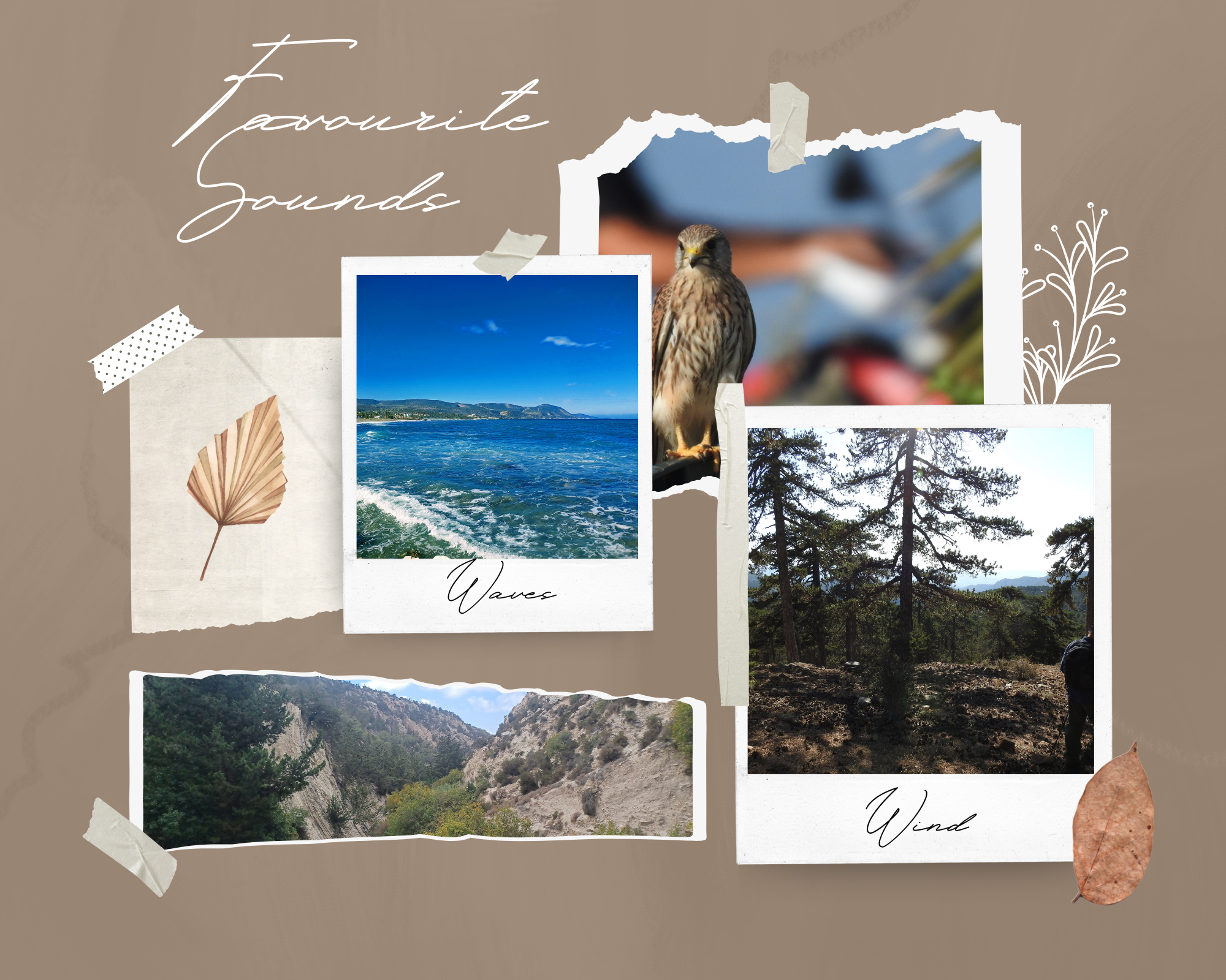 GOAT Adventures Cyprus Small Group Adventure & Walking tours's image