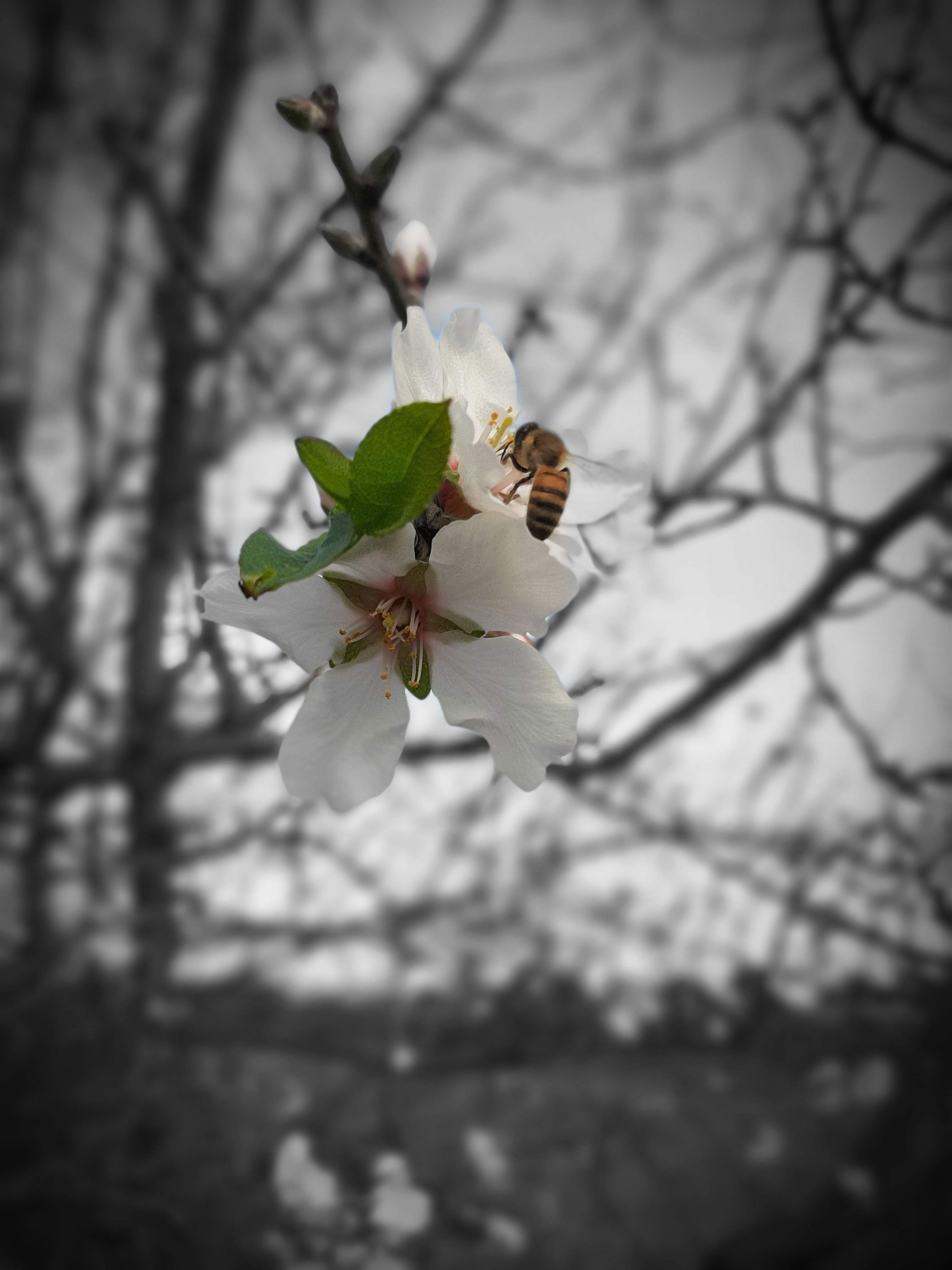 GOAT Adventures Cyprus's image