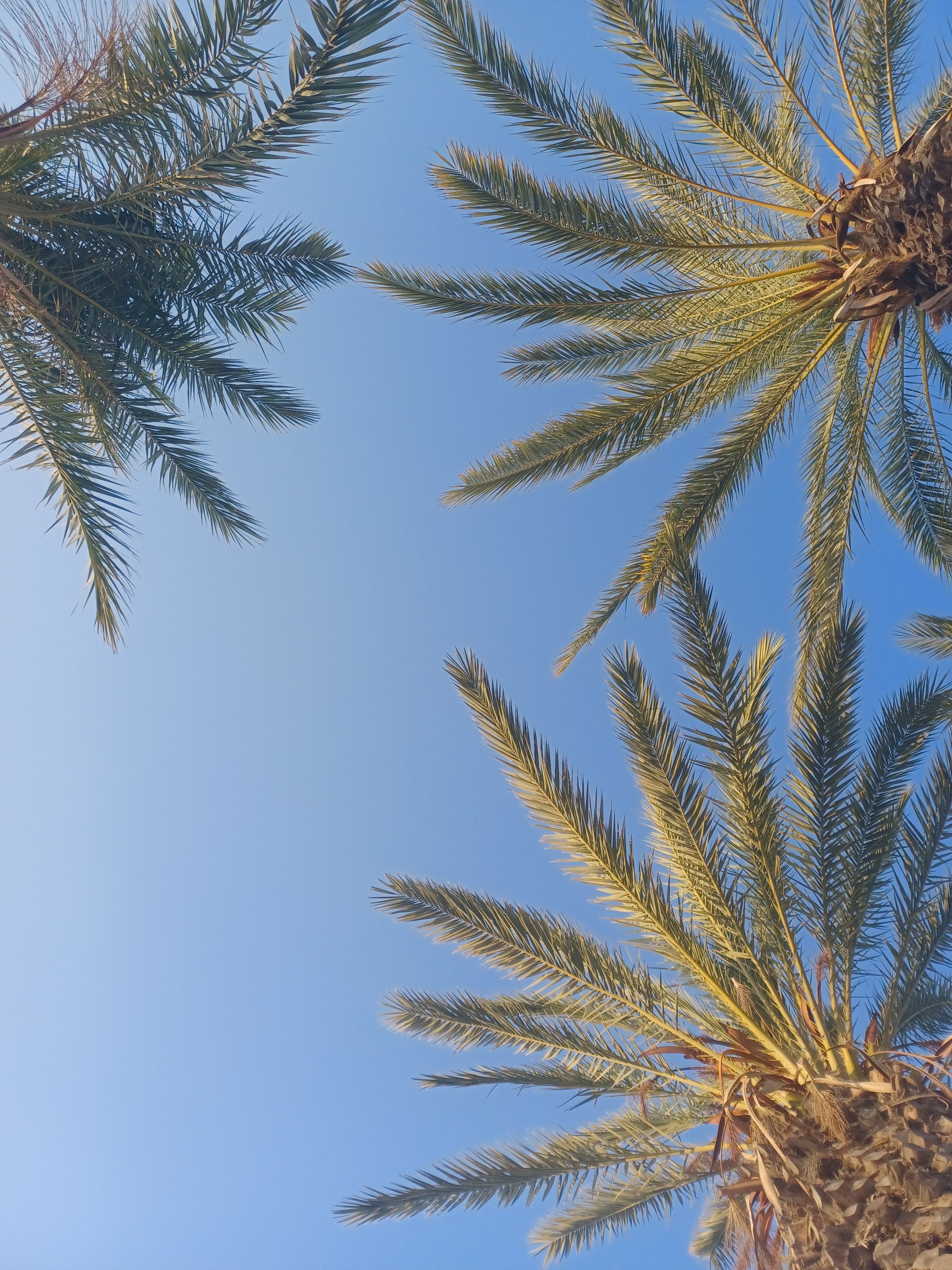 GOAT Adventures Cyprus's image