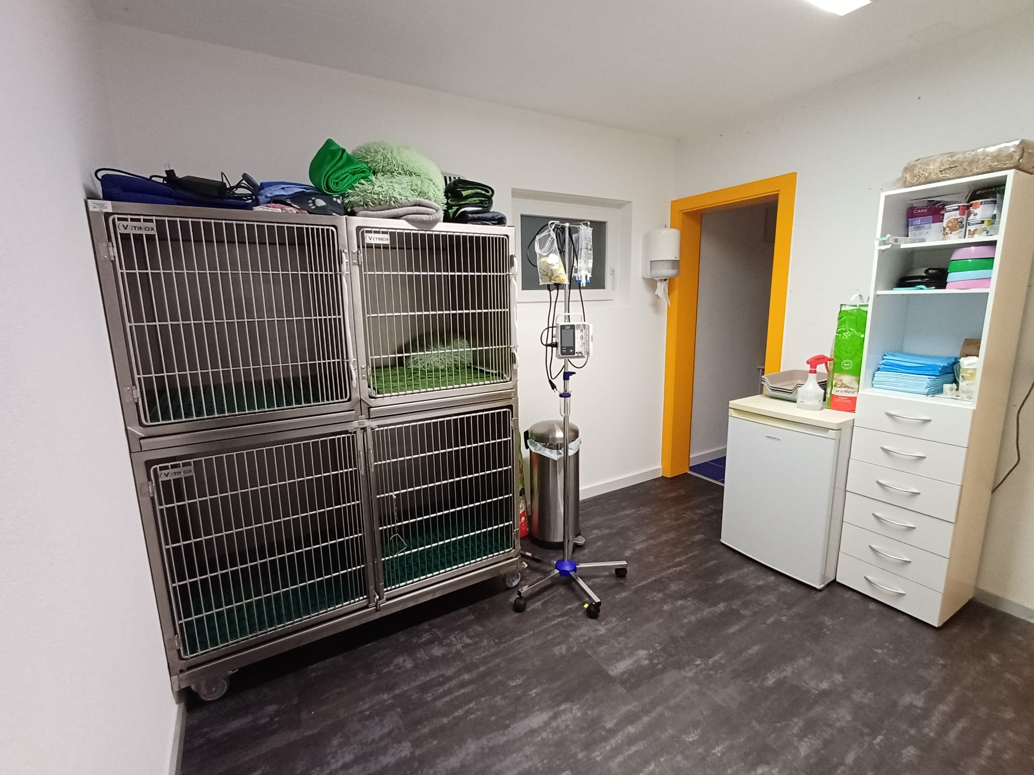 Veto-Corner sàrl | Vétérinaire à domicile | Valais-Suisse's image