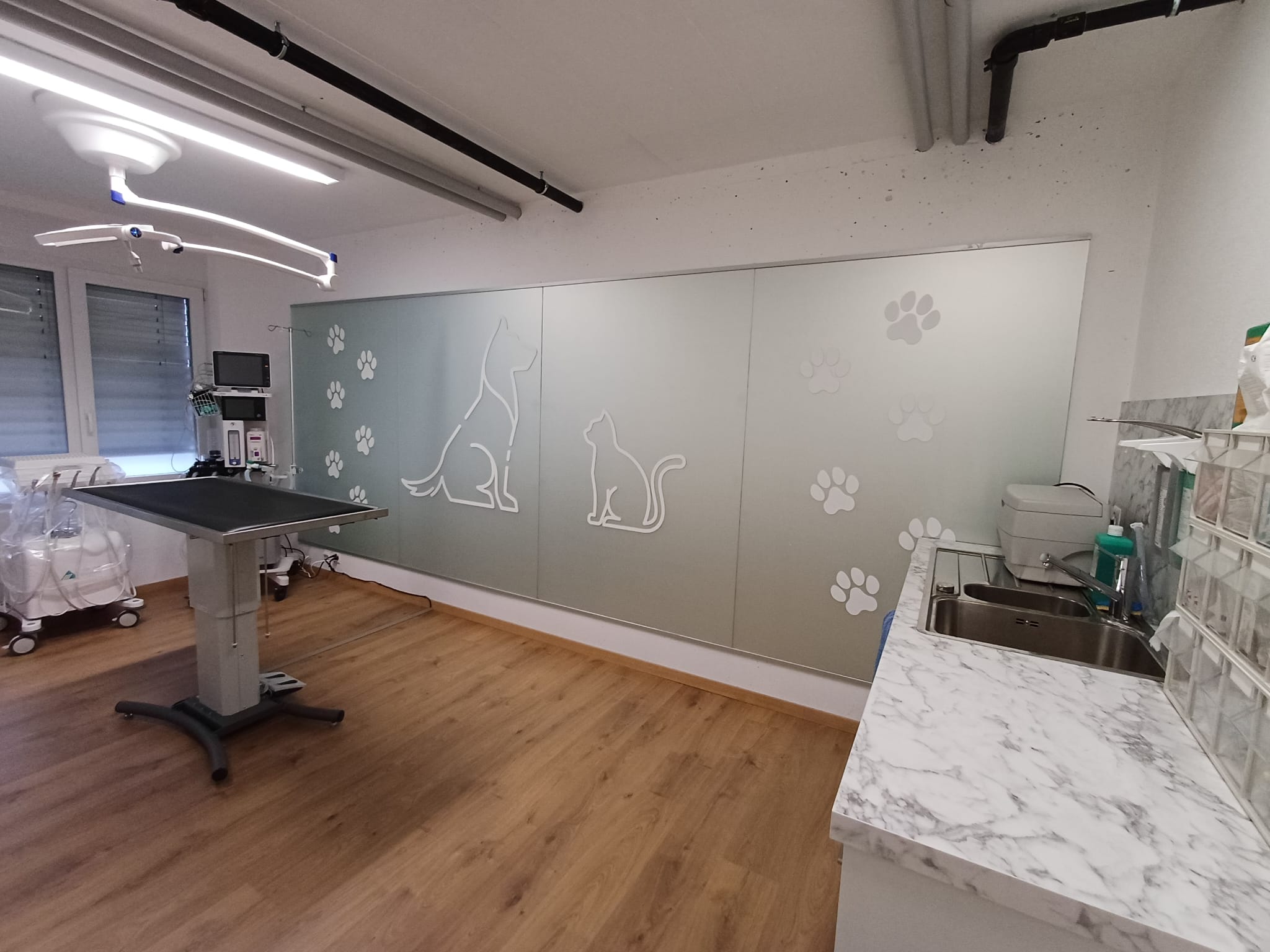 Veto-Corner sàrl | Vétérinaire à domicile | Valais-Suisse's image