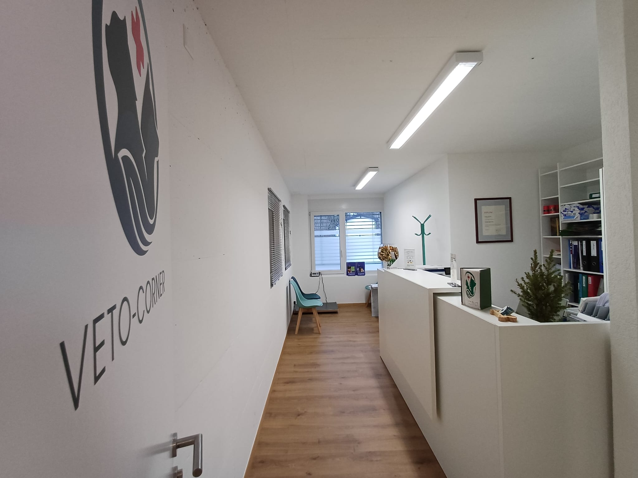 Veto-Corner sàrl | Vétérinaire à domicile | Valais-Suisse's image