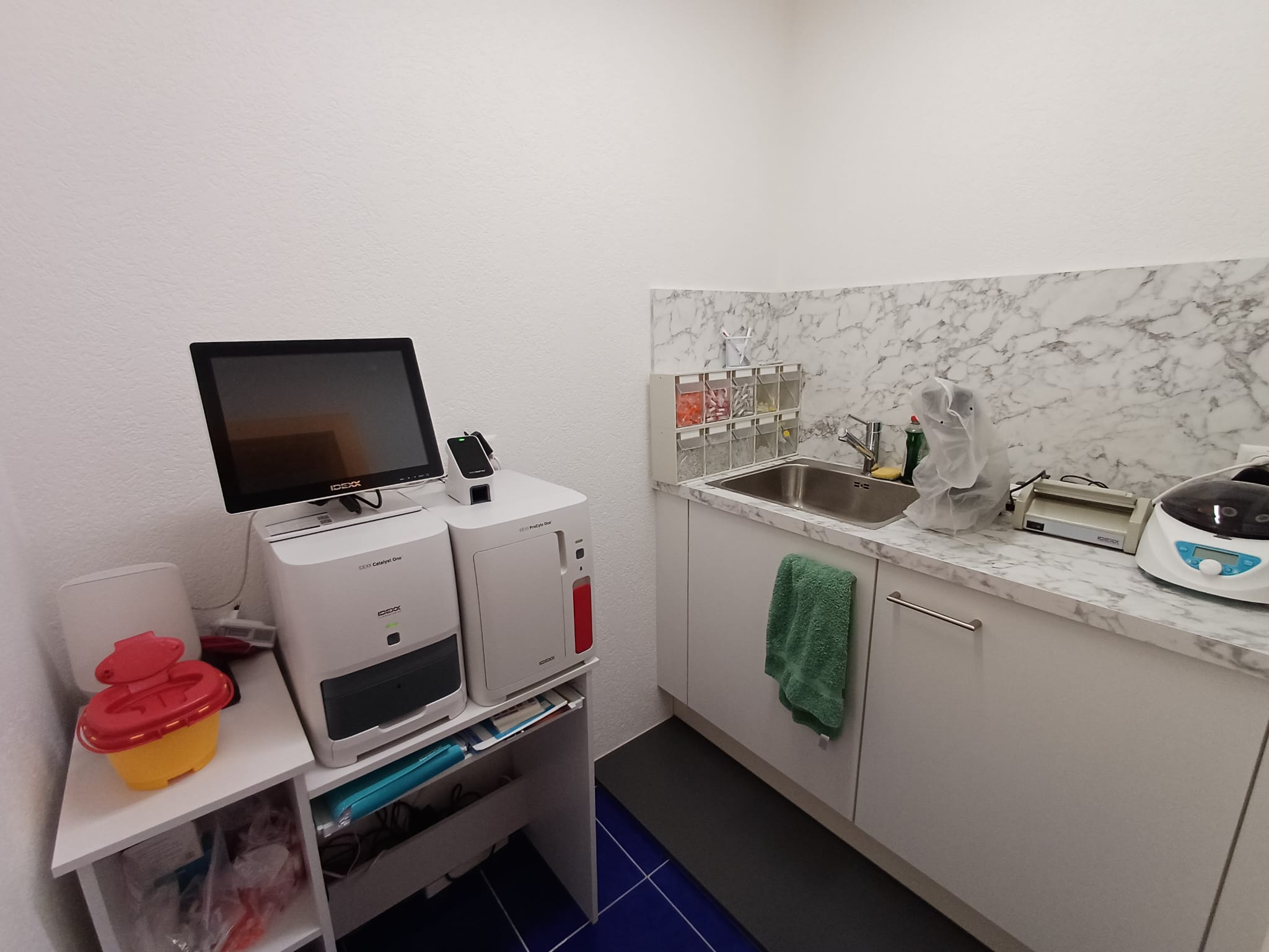 Veto-Corner sàrl | Vétérinaire à domicile | Valais-Suisse's image