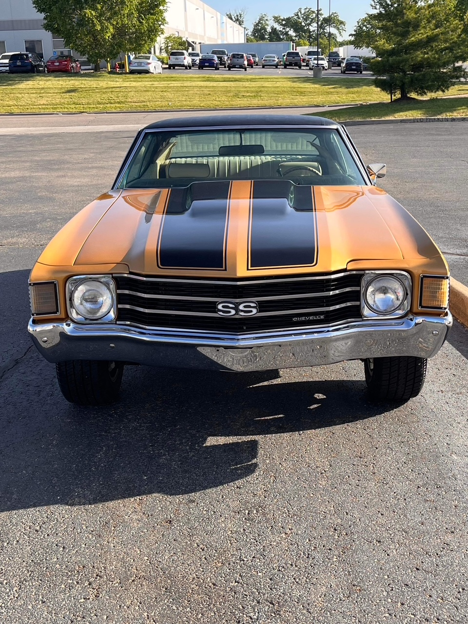 Shine Masters's image