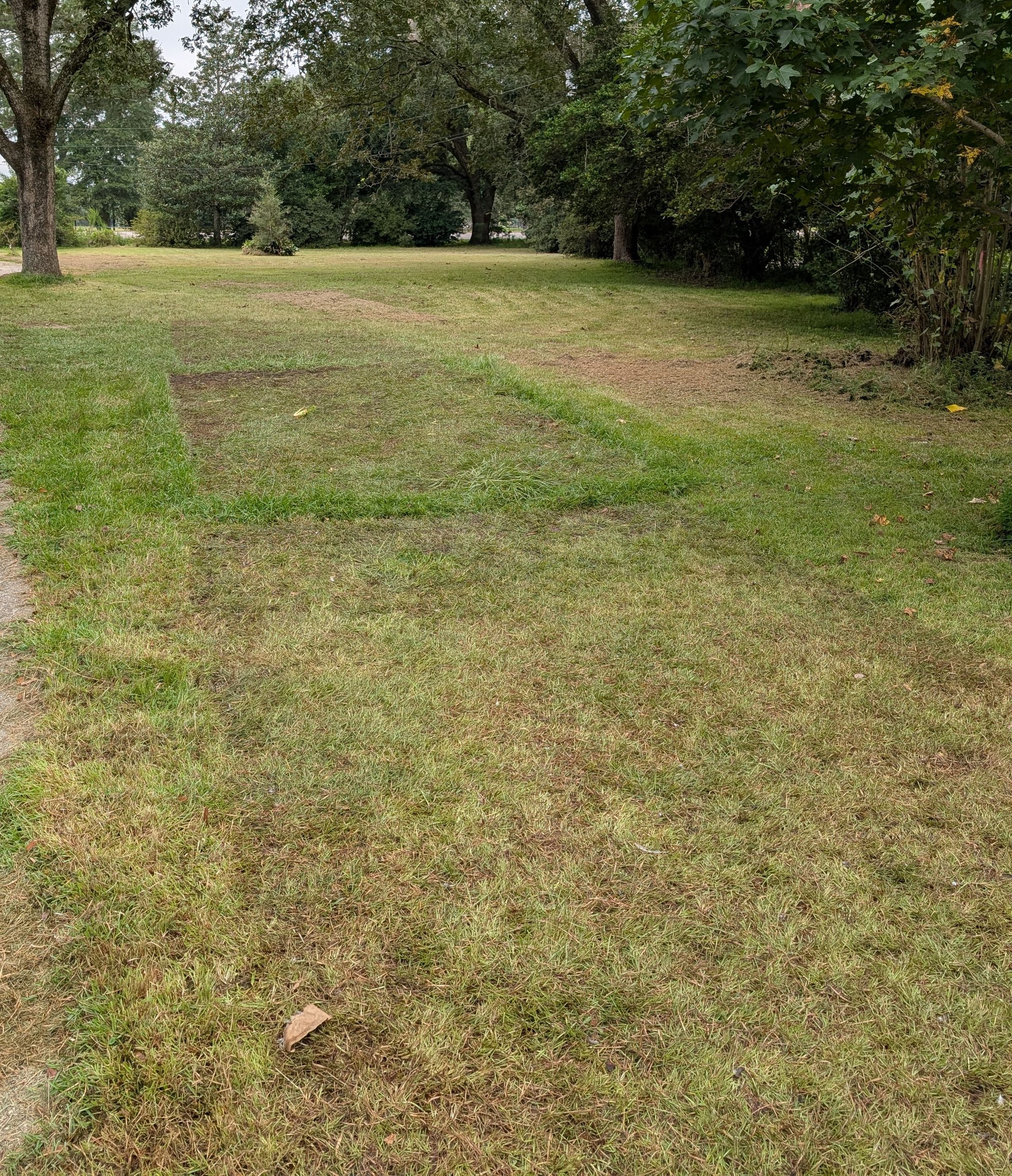 Barrows Barnyard's image