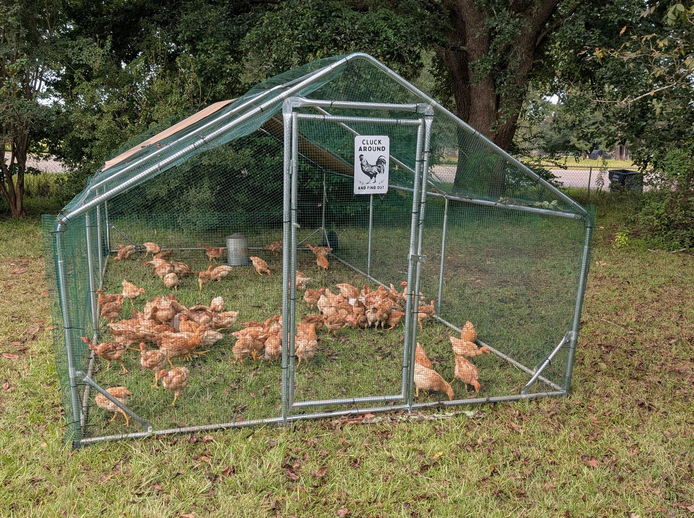 Barrows Barnyard's image