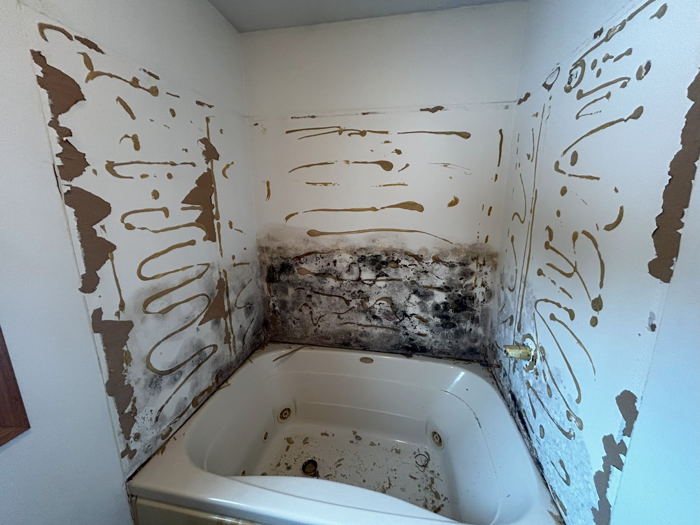 Mold Remediation 
