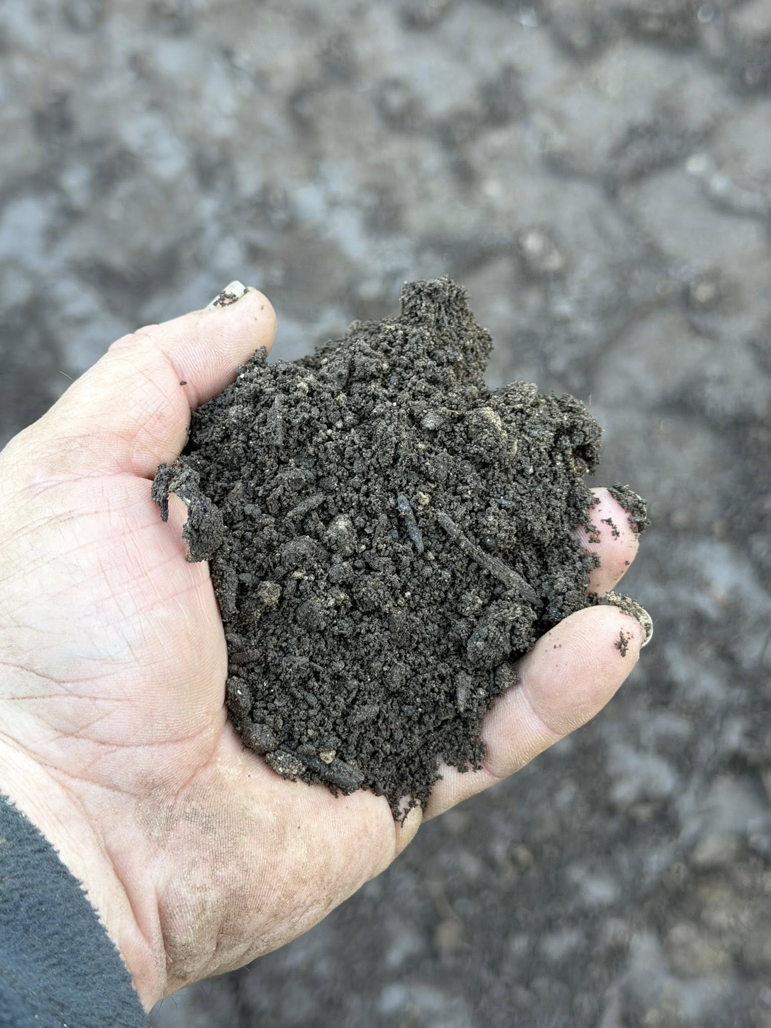 LAND WORX of Sylva North Carolina I All About The Land's image