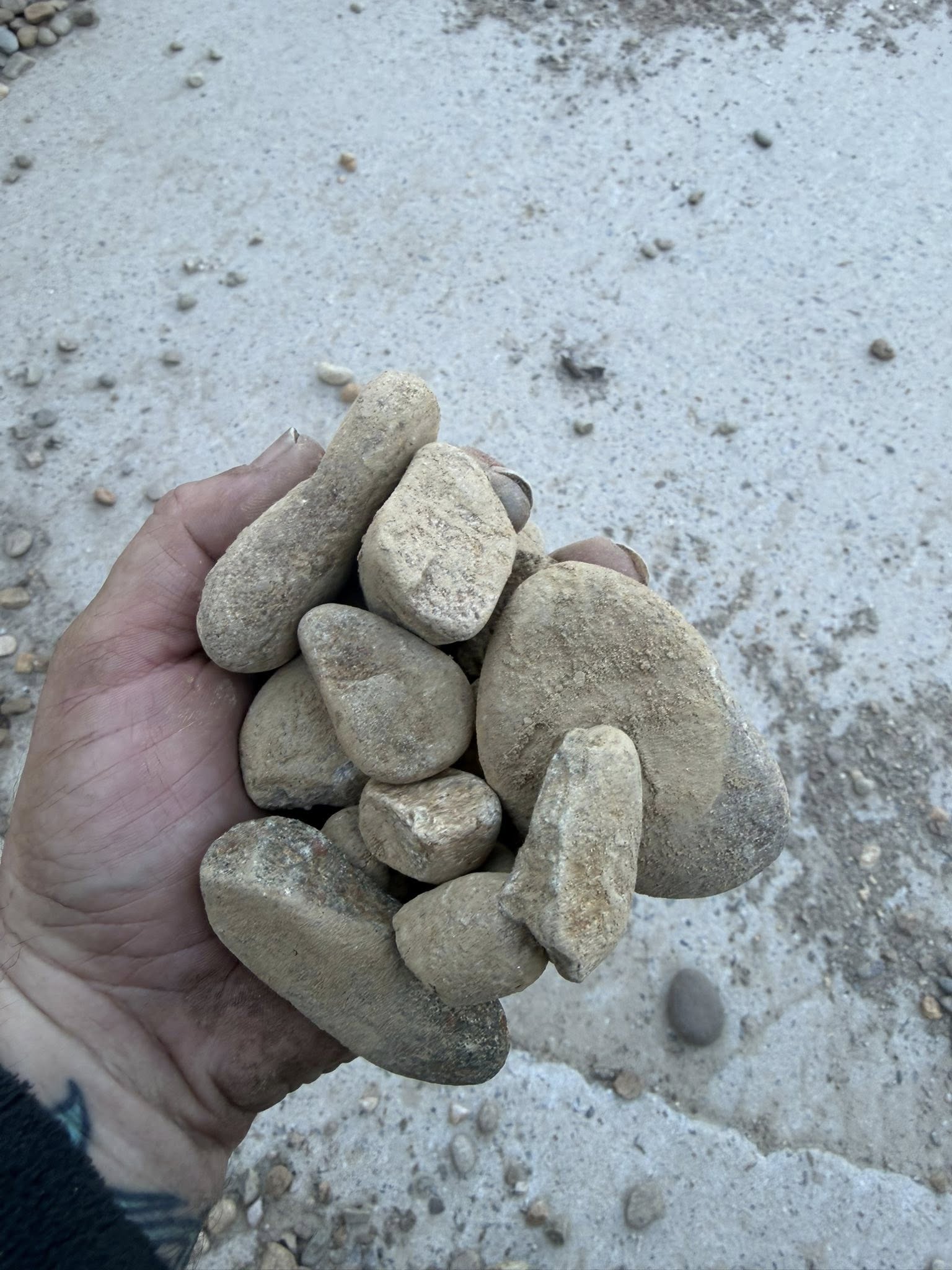 LAND WORX of Sylva North Carolina I All About The Land's image