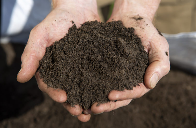 LAND WORX of Sylva North Carolina I All About The Land's image