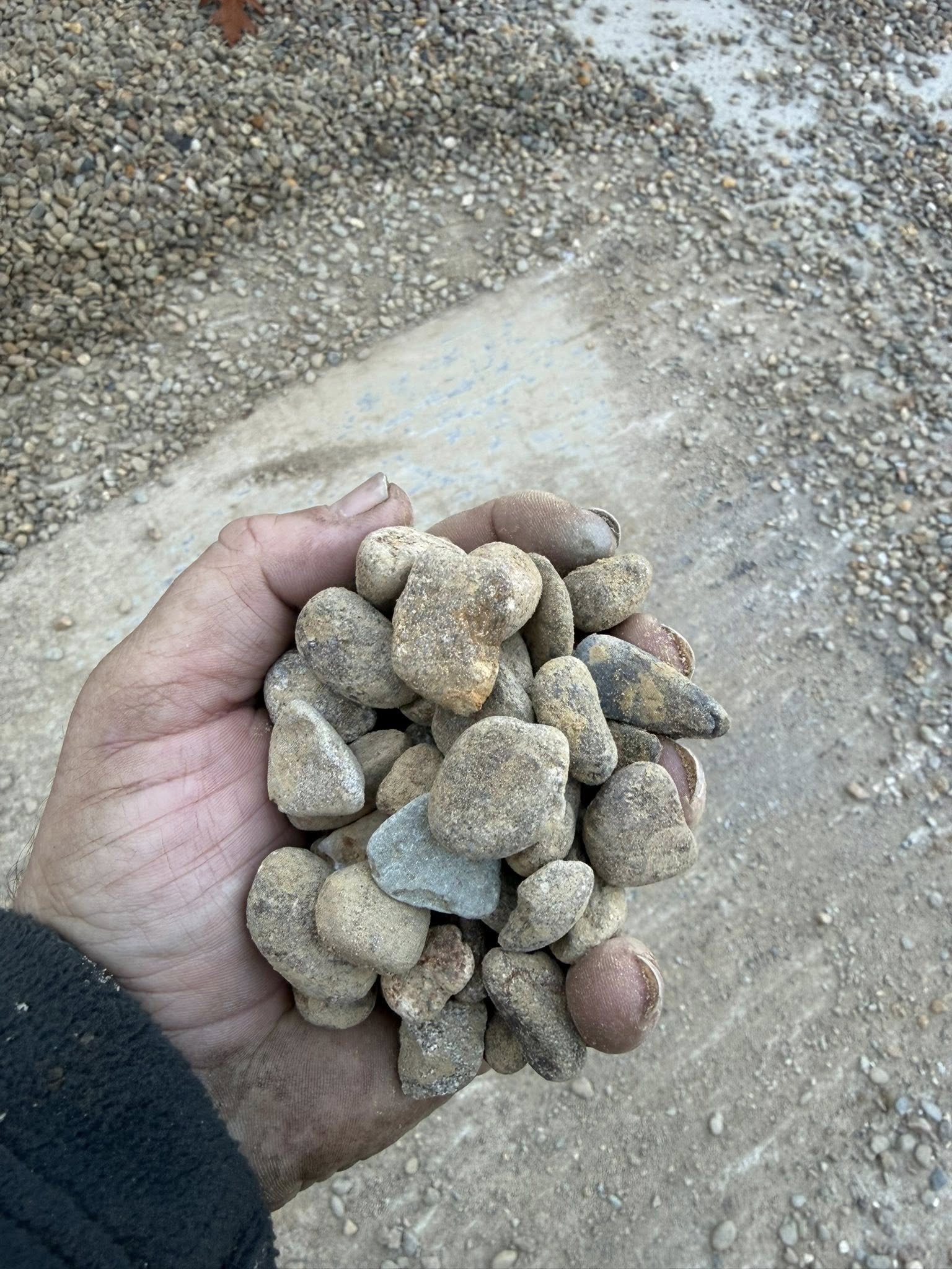 LAND WORX of Sylva North Carolina I All About The Land's image