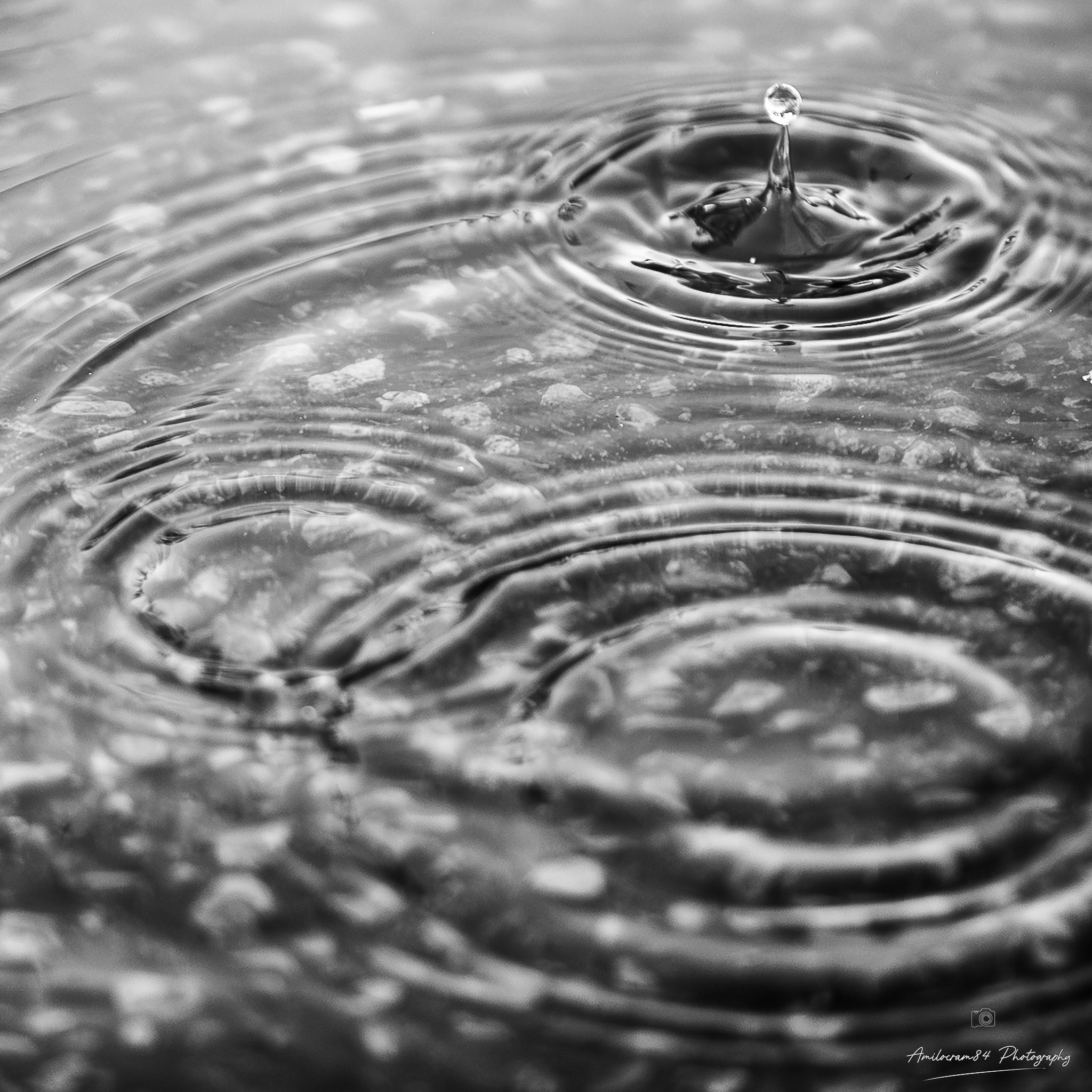 Amilocram84 Photography's image