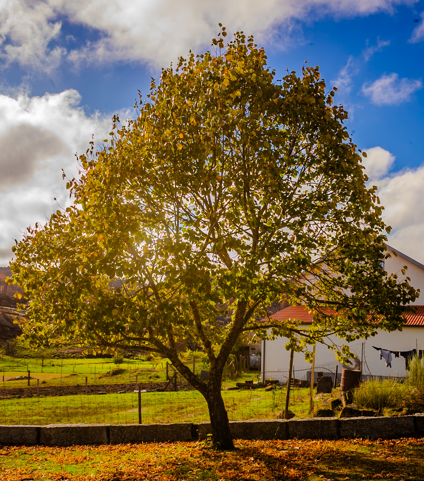 Amilocram84 Photography's image