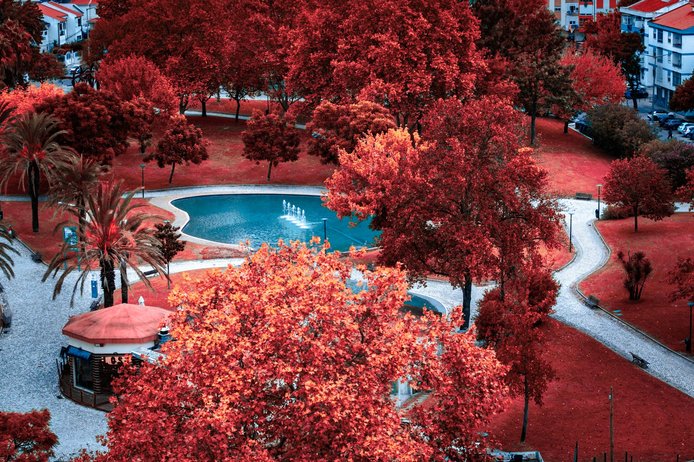 Amilocram84 Photography's image