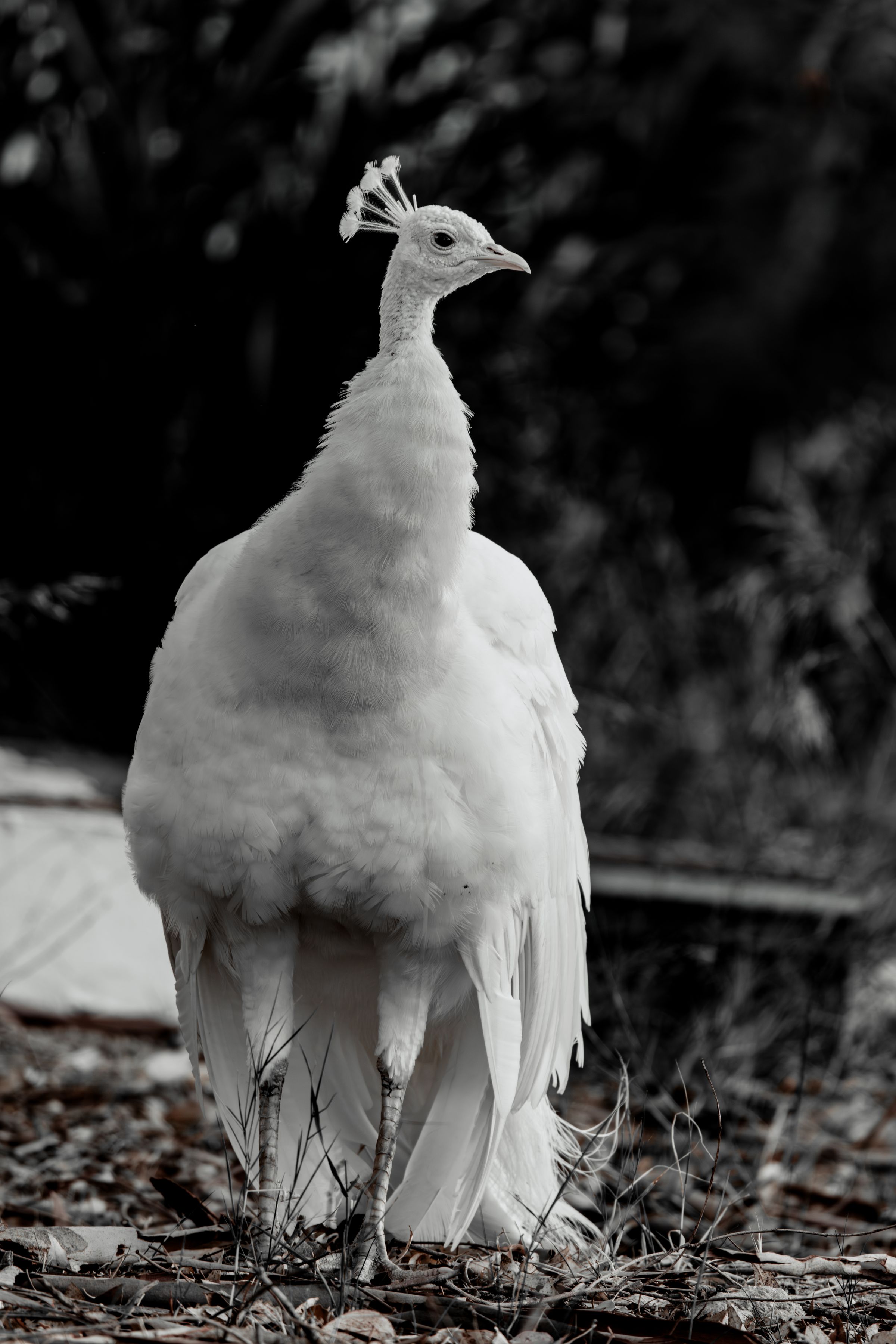 Amilocram84 Photography's image