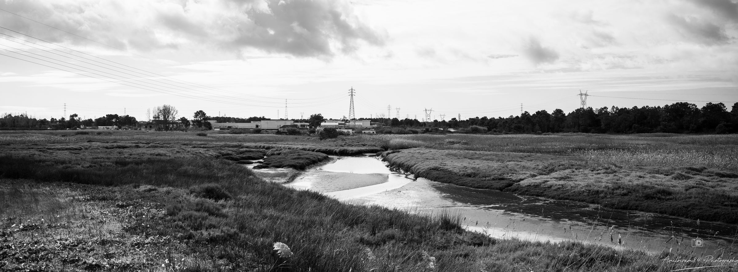 Amilocram84 Photography's image