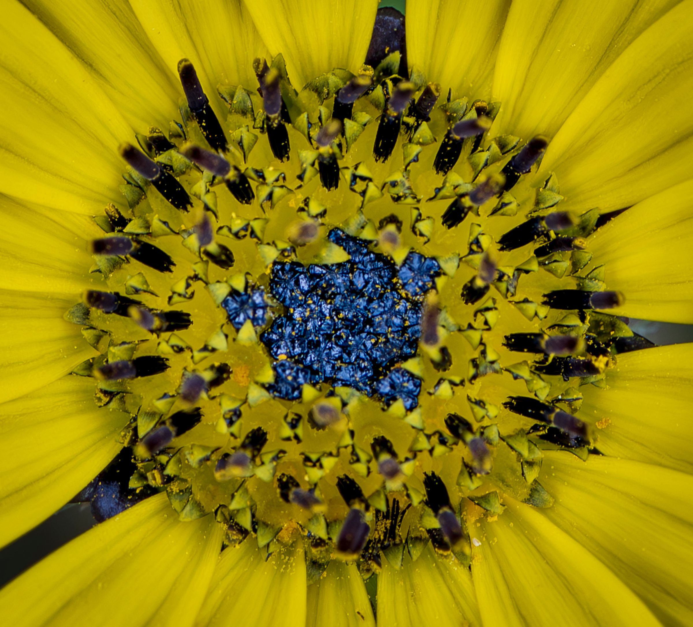 Amilocram84 Photography's image