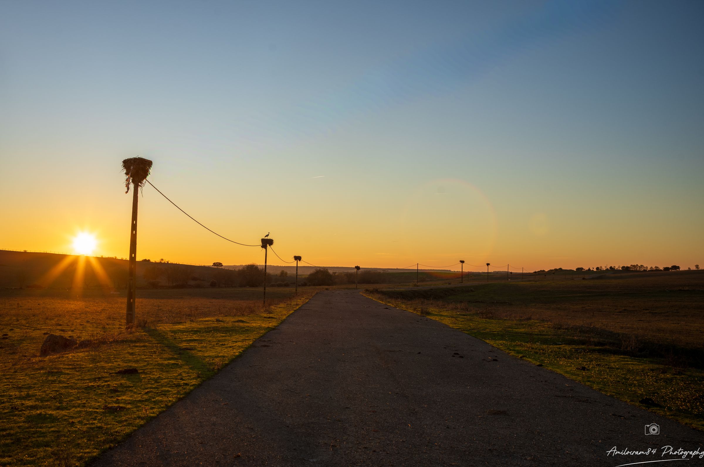 Amilocram84 Photography's image