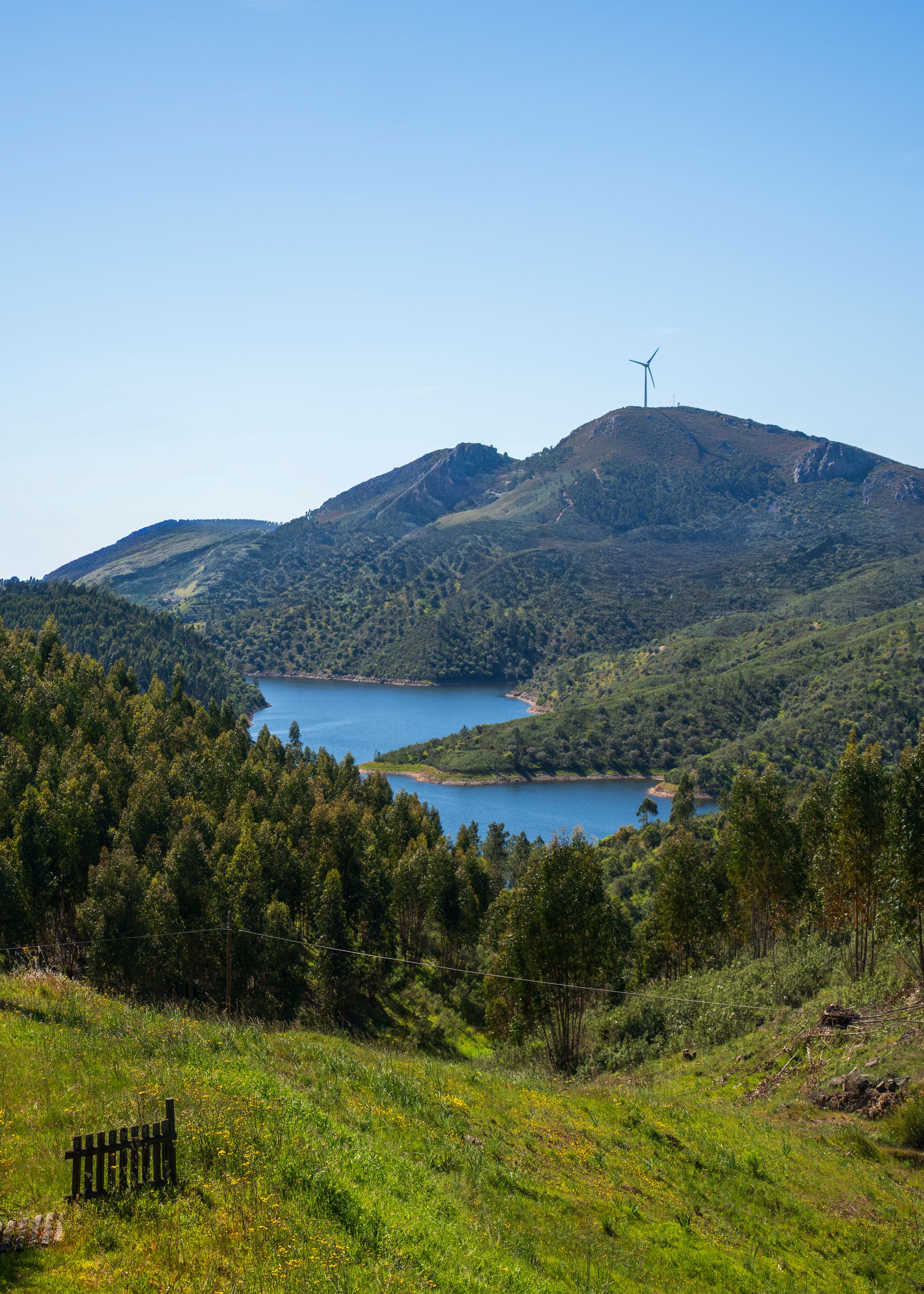 Amilocram84 Photography's image