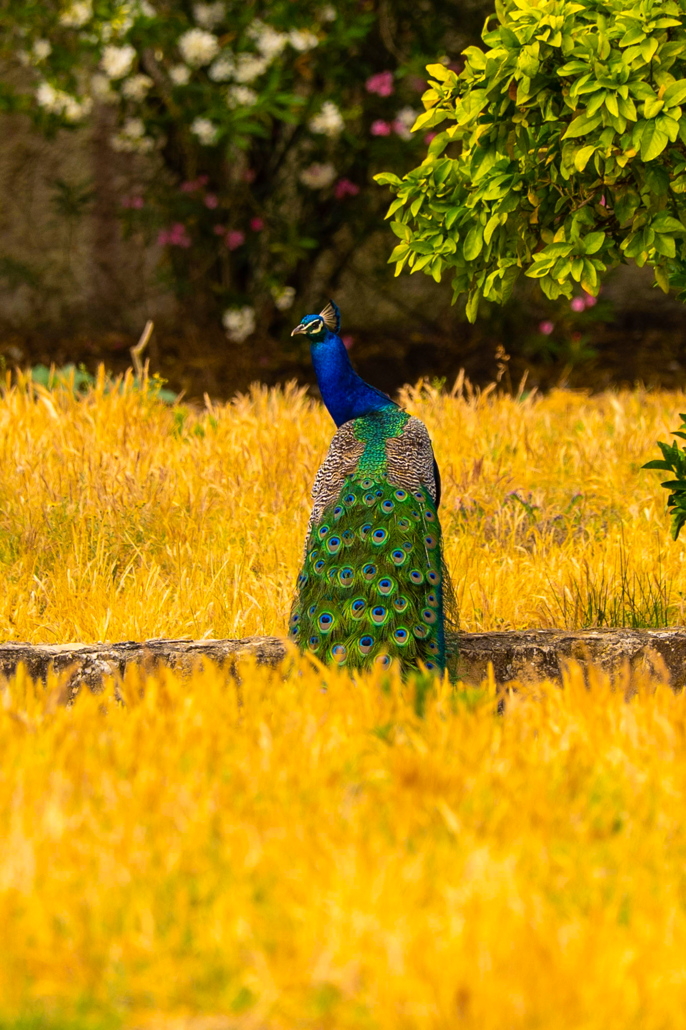 Amilocram84 Photography's image