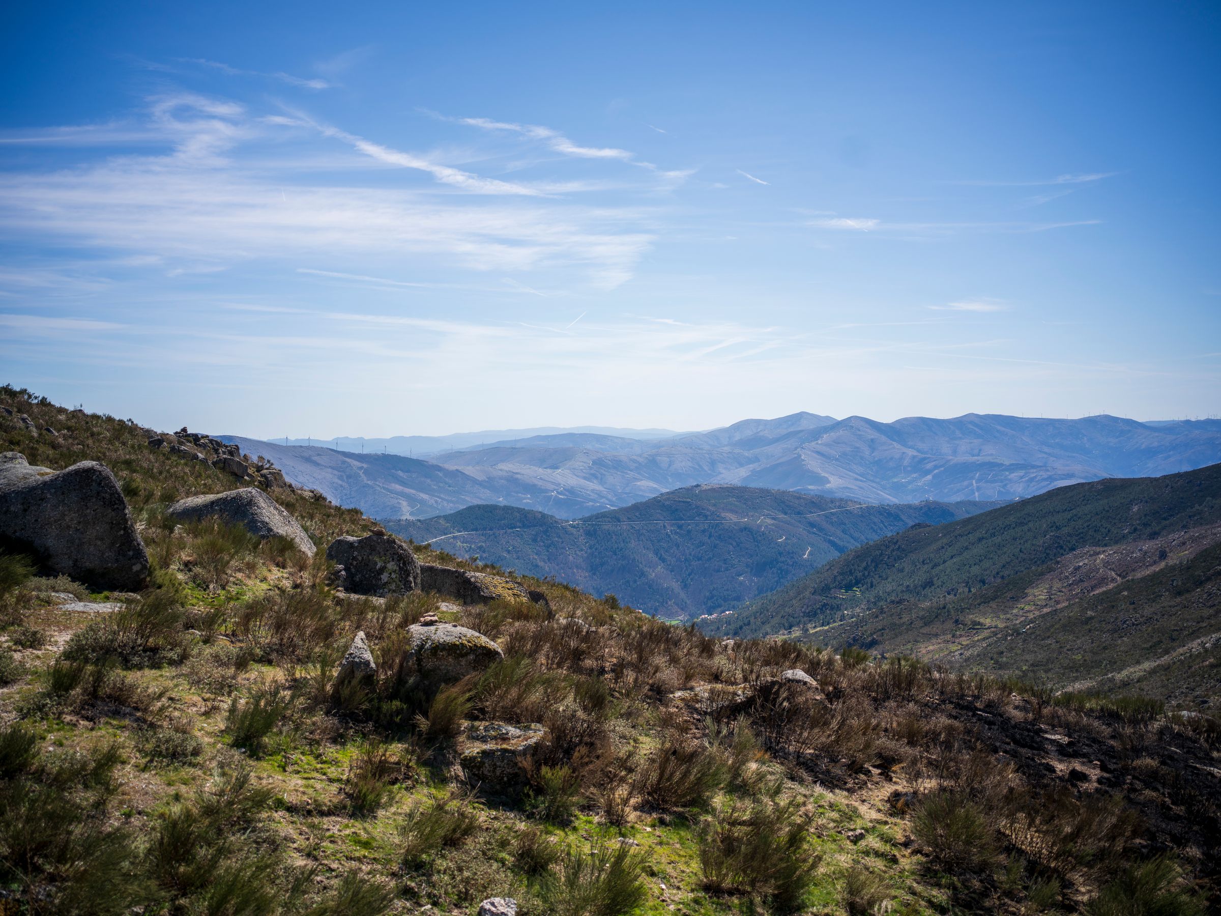 Amilocram84 Photography's image