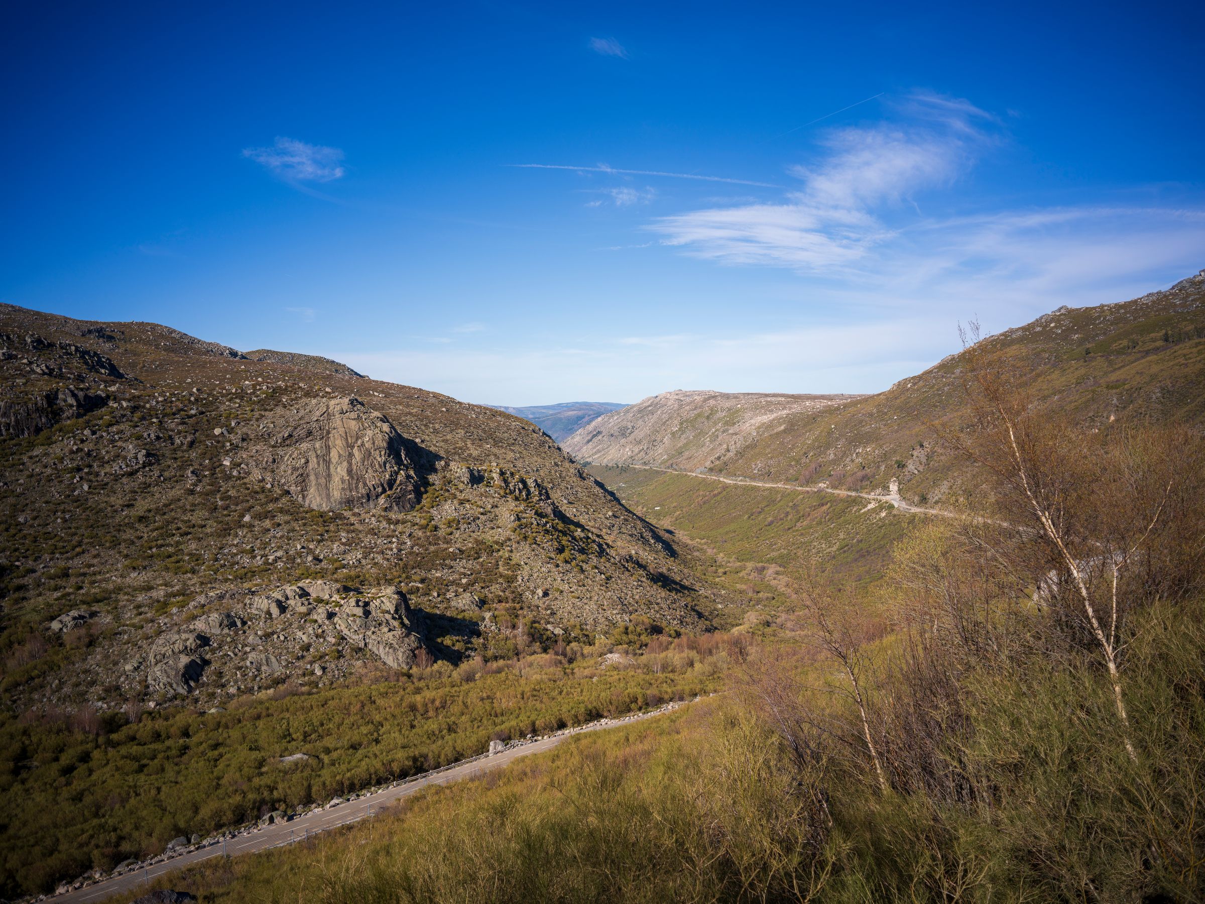 Amilocram84 Photography's image