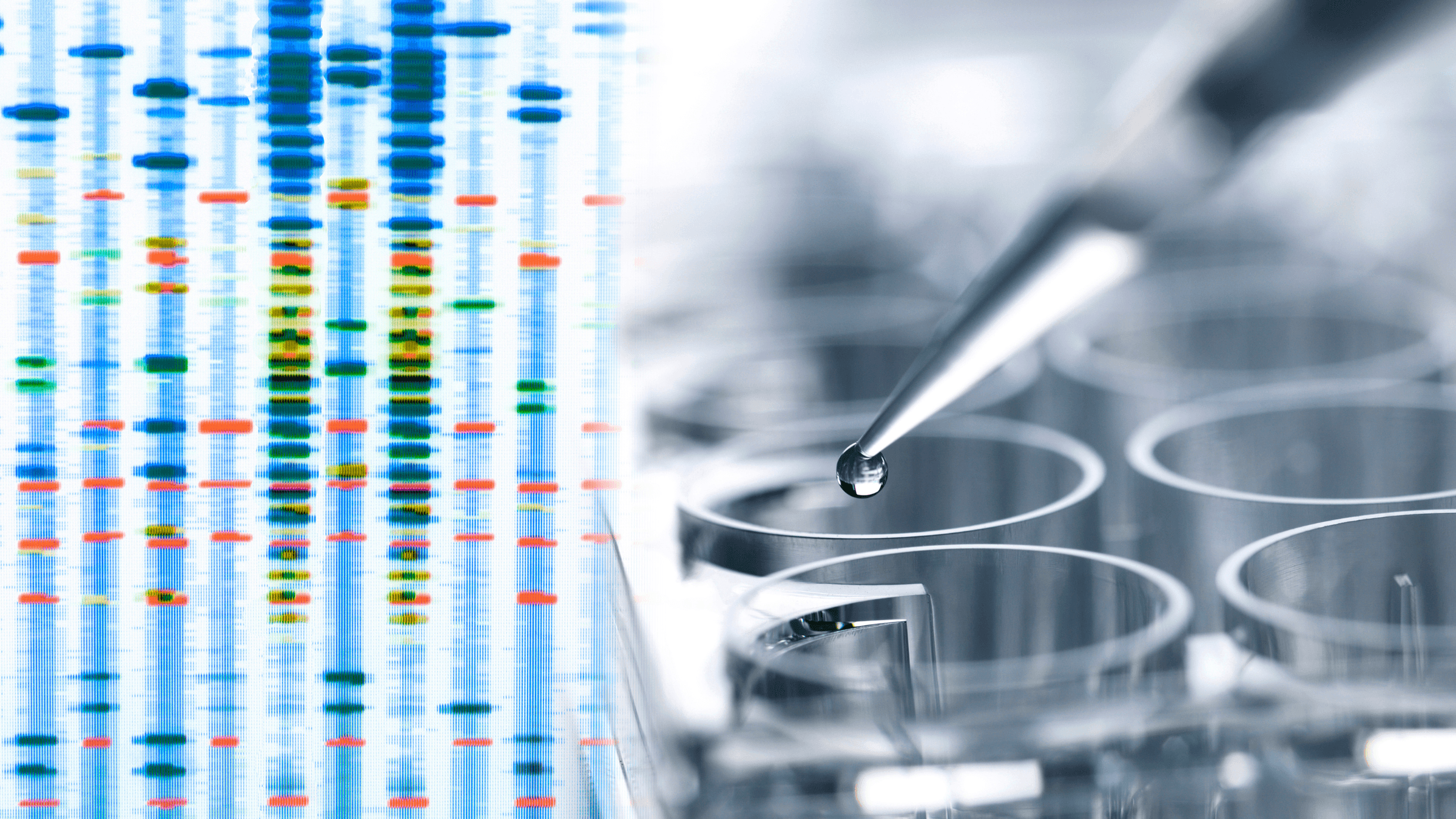 MindCare Alliance Health 's image