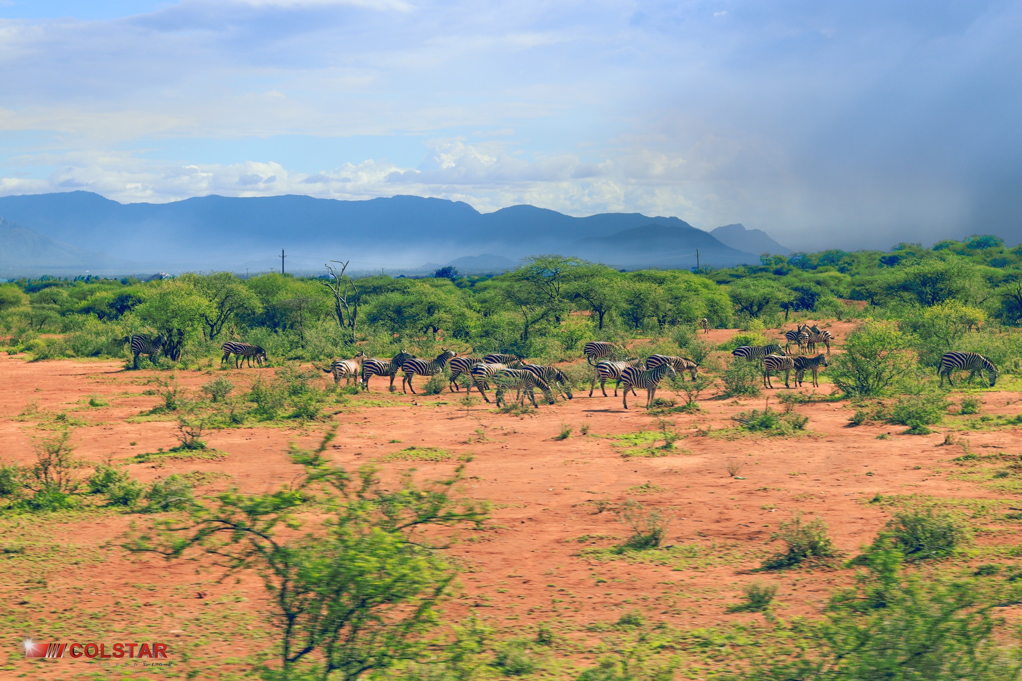 Colstar Production Ltd  Film, Photography & Event Coverage's image