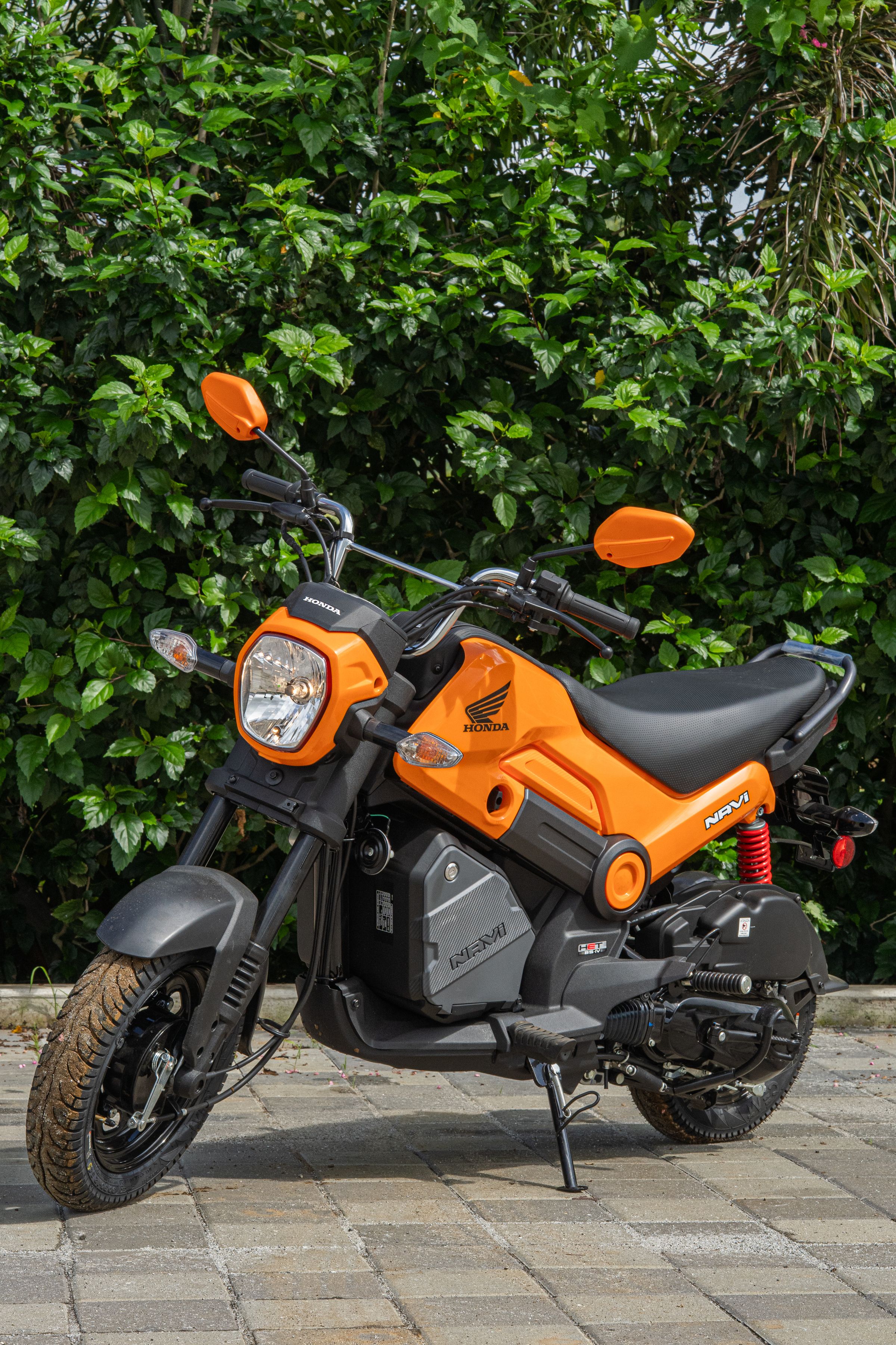 Venao bikes's image