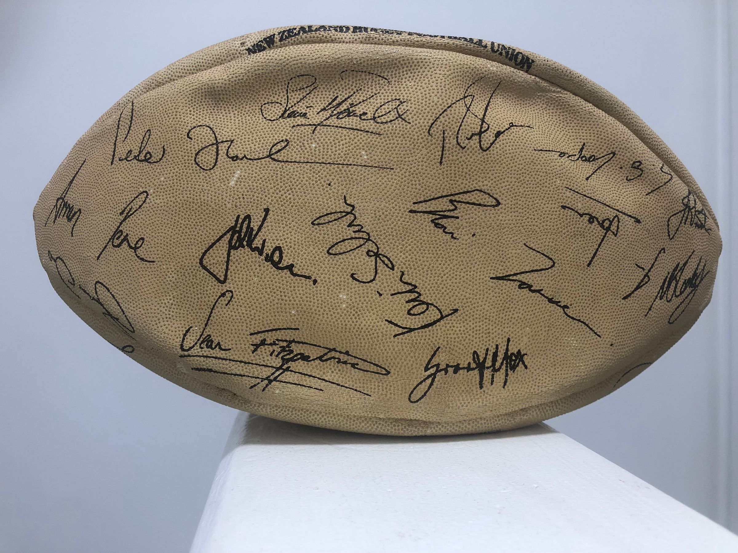 Team Rugby Union's image