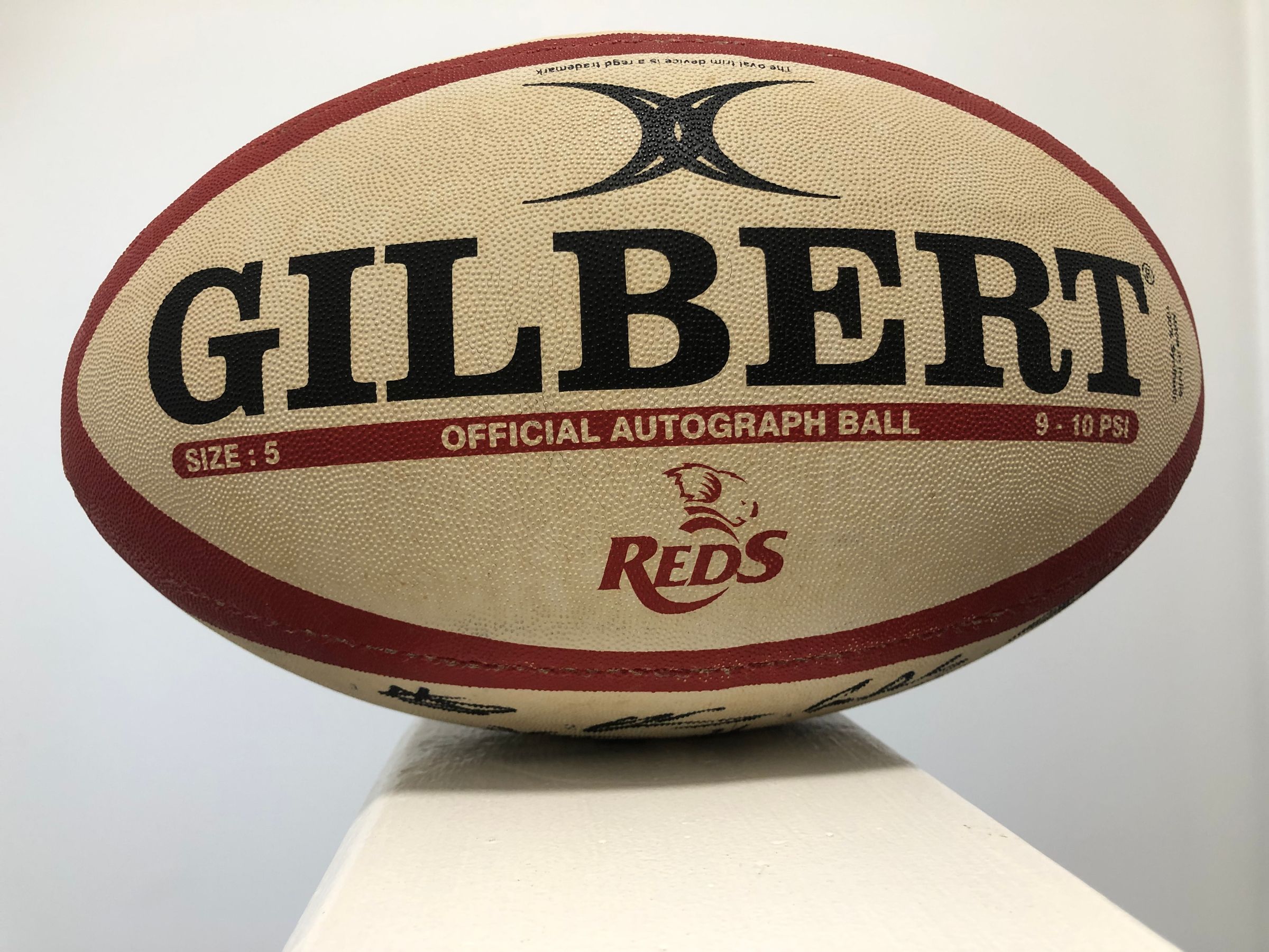 Team Rugby Union's image