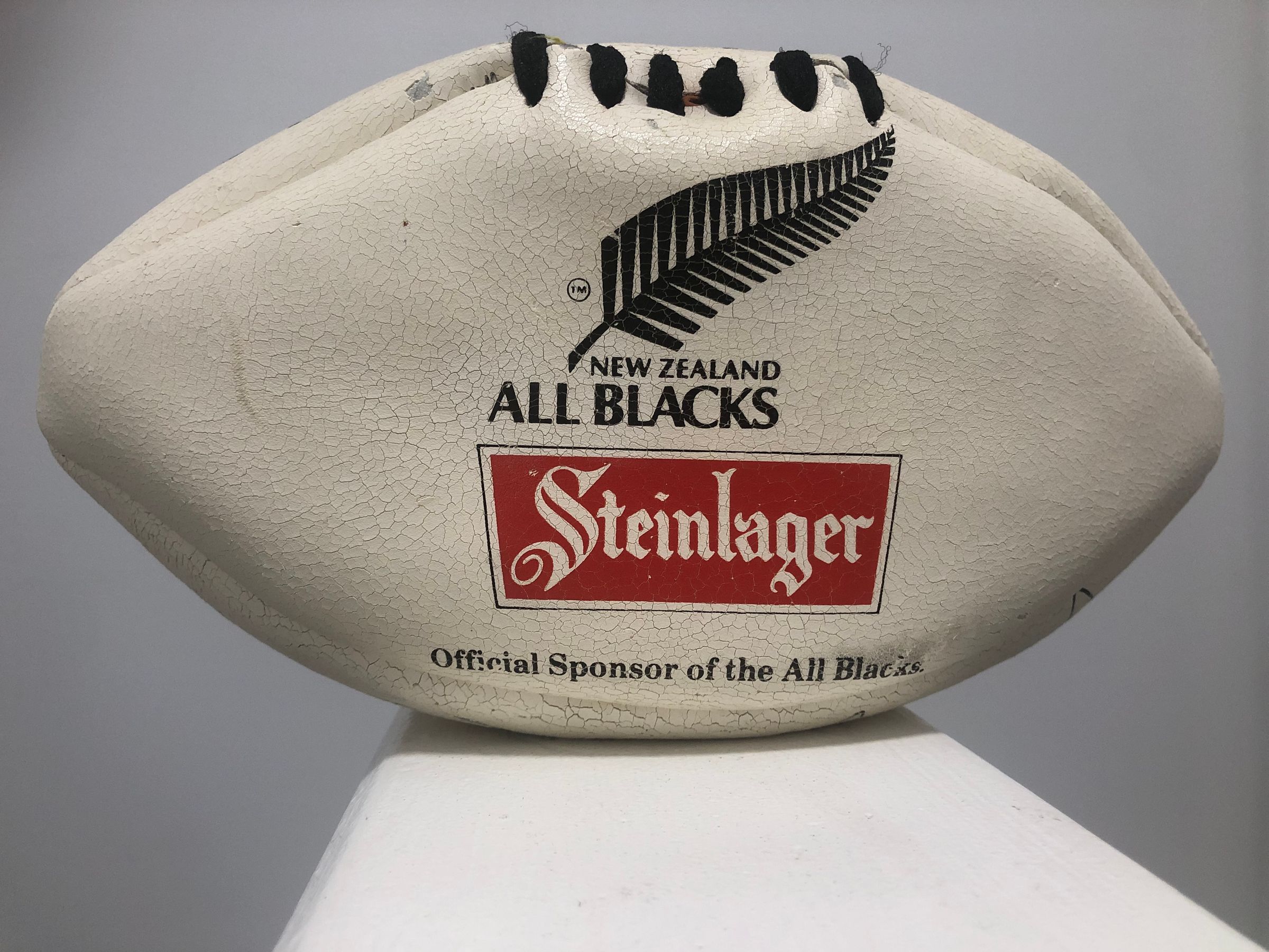 Team Rugby Union's image