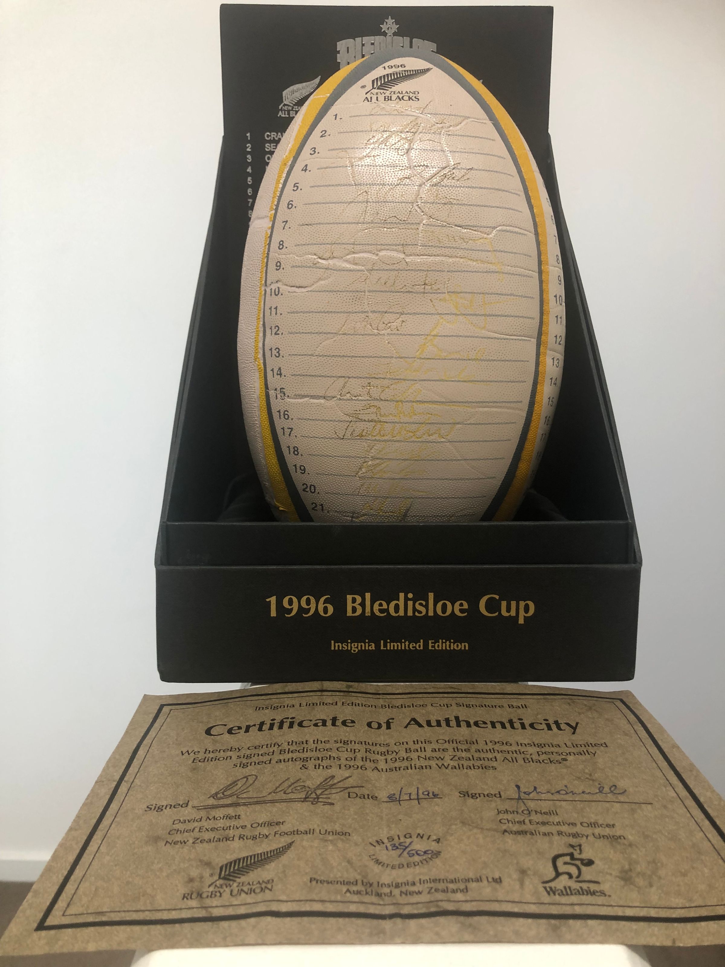 Team Rugby Union's image