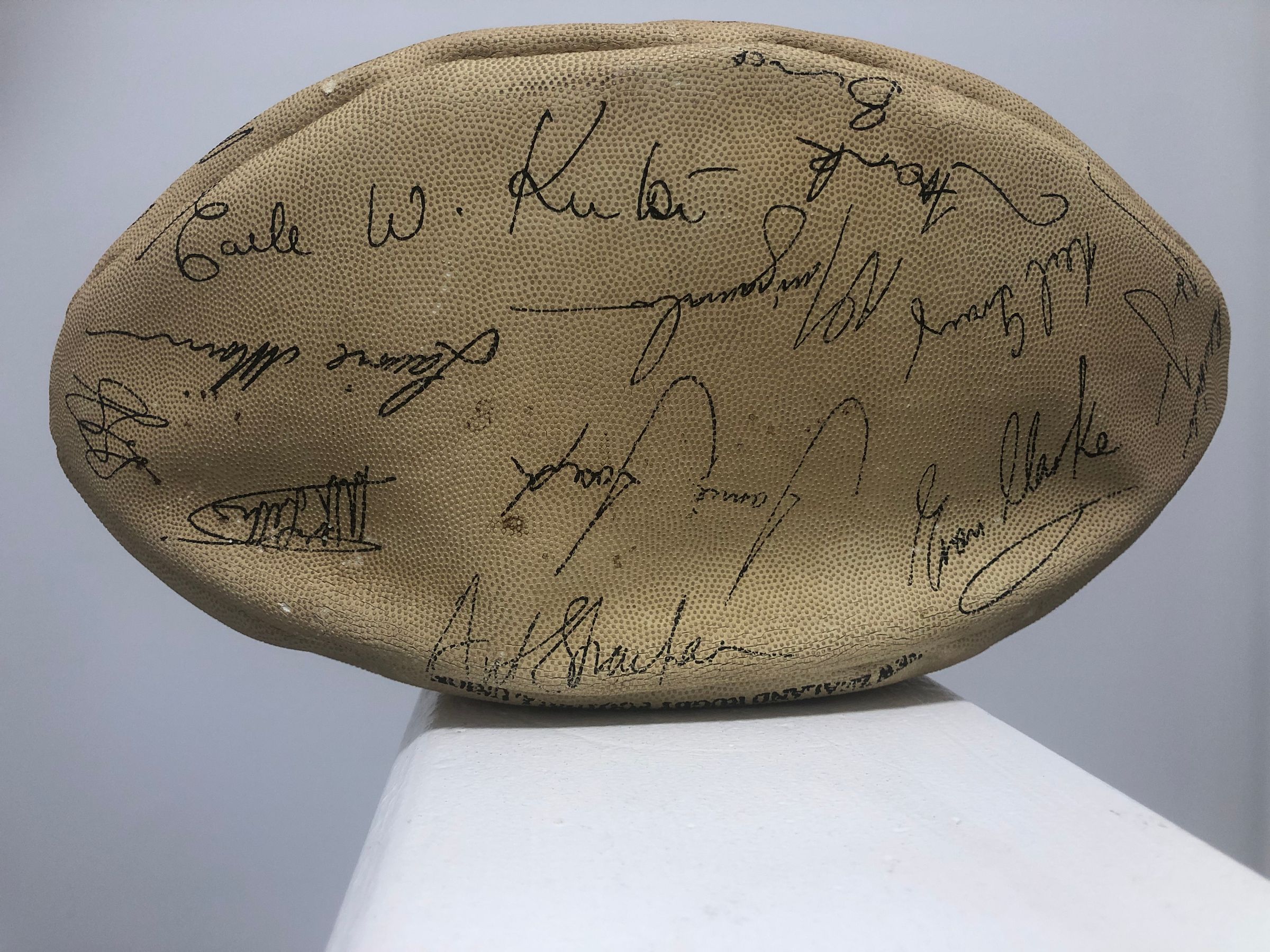 Team Rugby Union's image