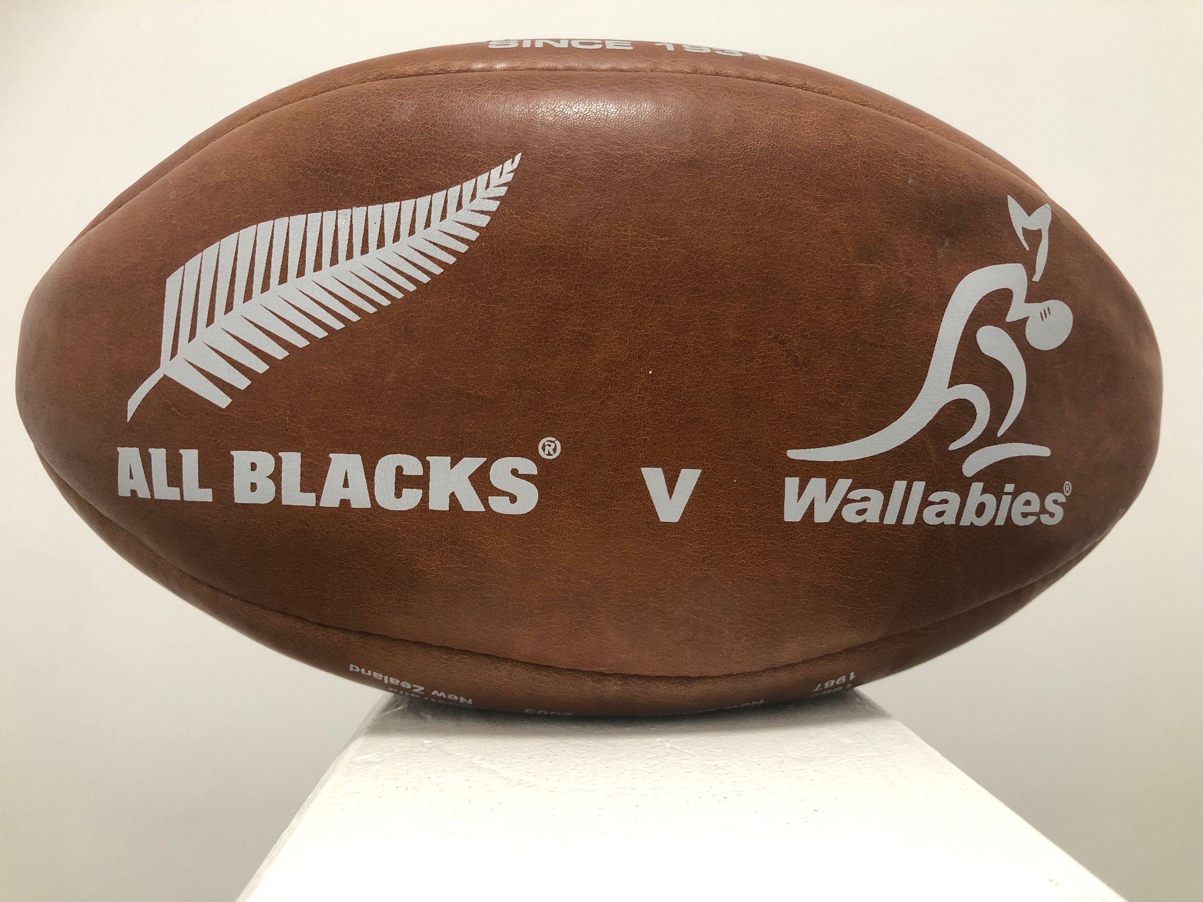 Team Rugby Union's image