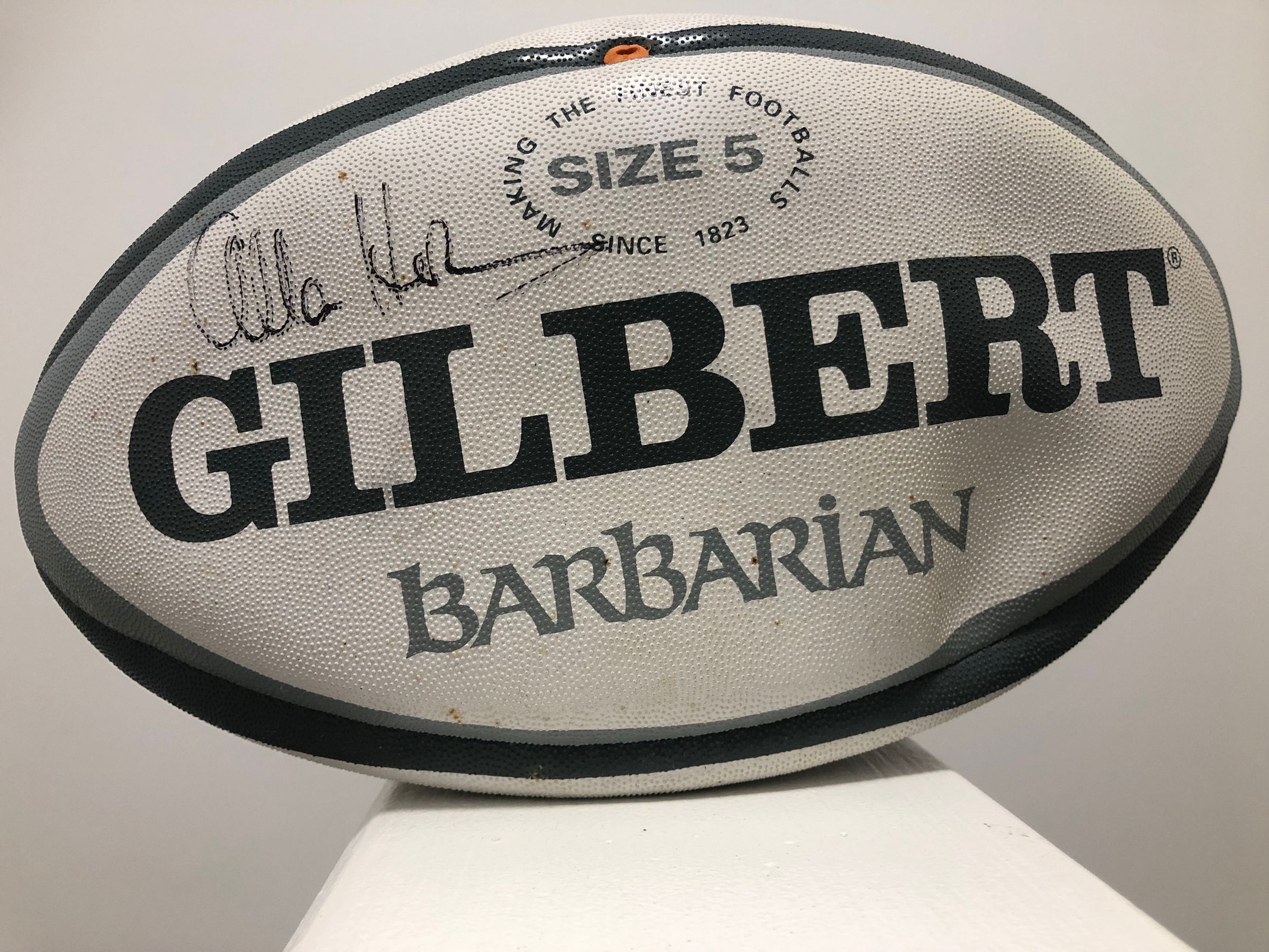 Team Rugby Union's image