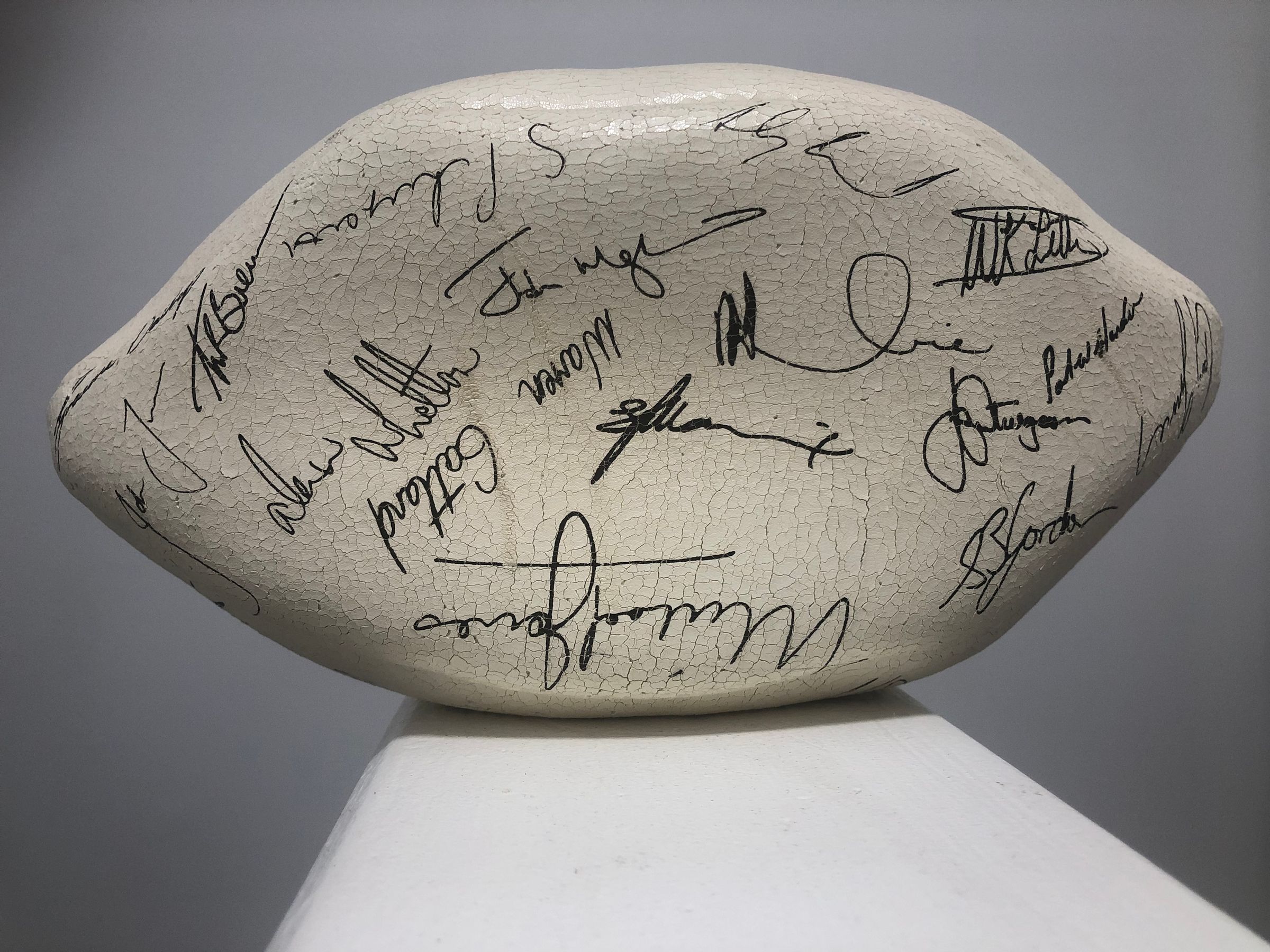 Team Rugby Union's image