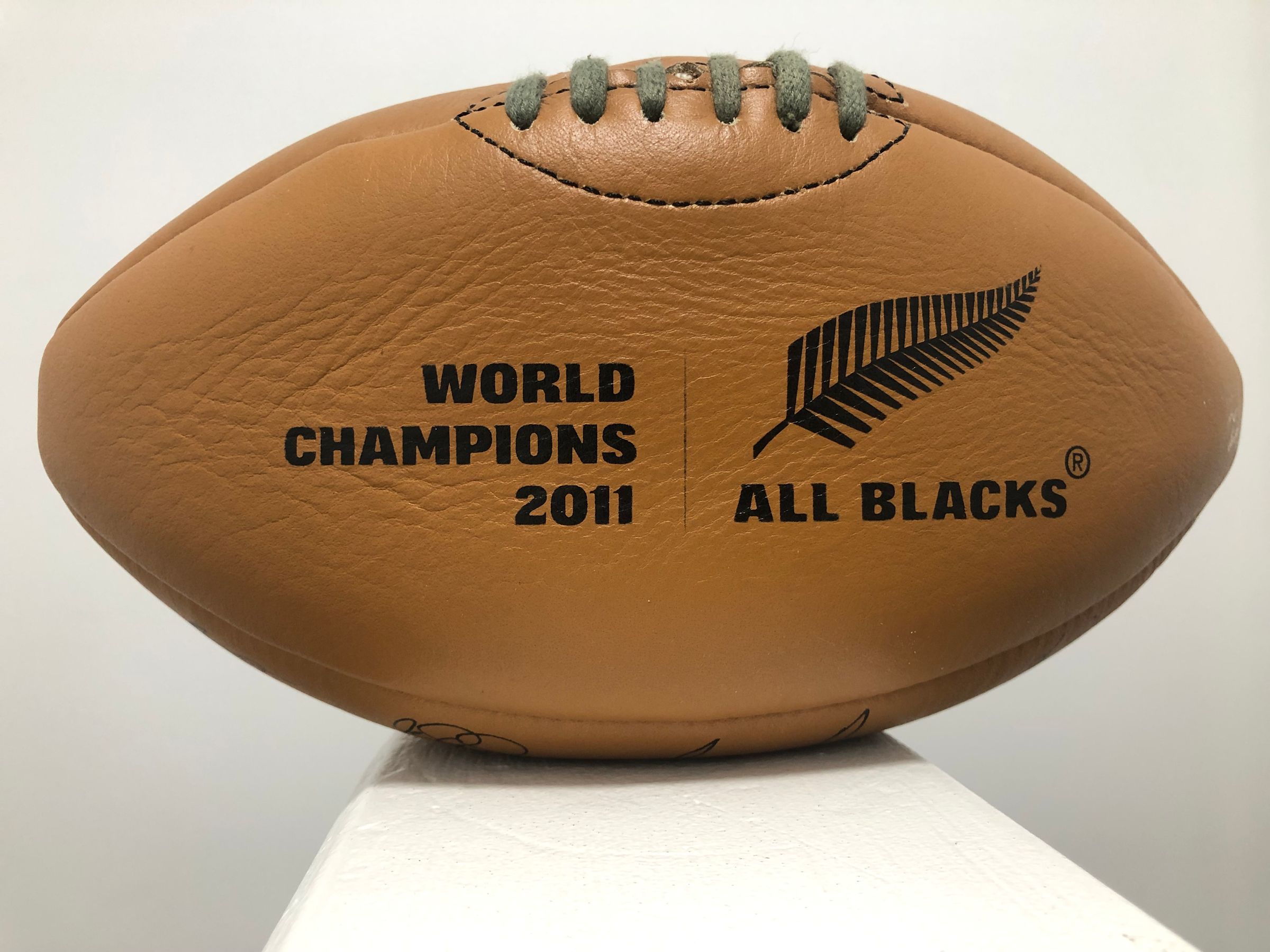 Team Rugby Union's image