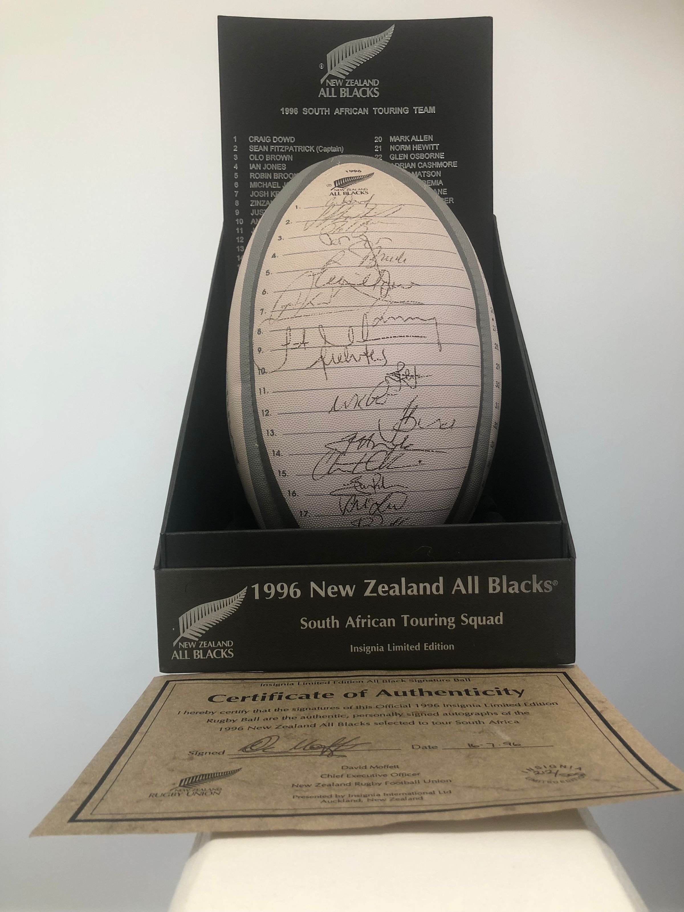 Team Rugby Union's image